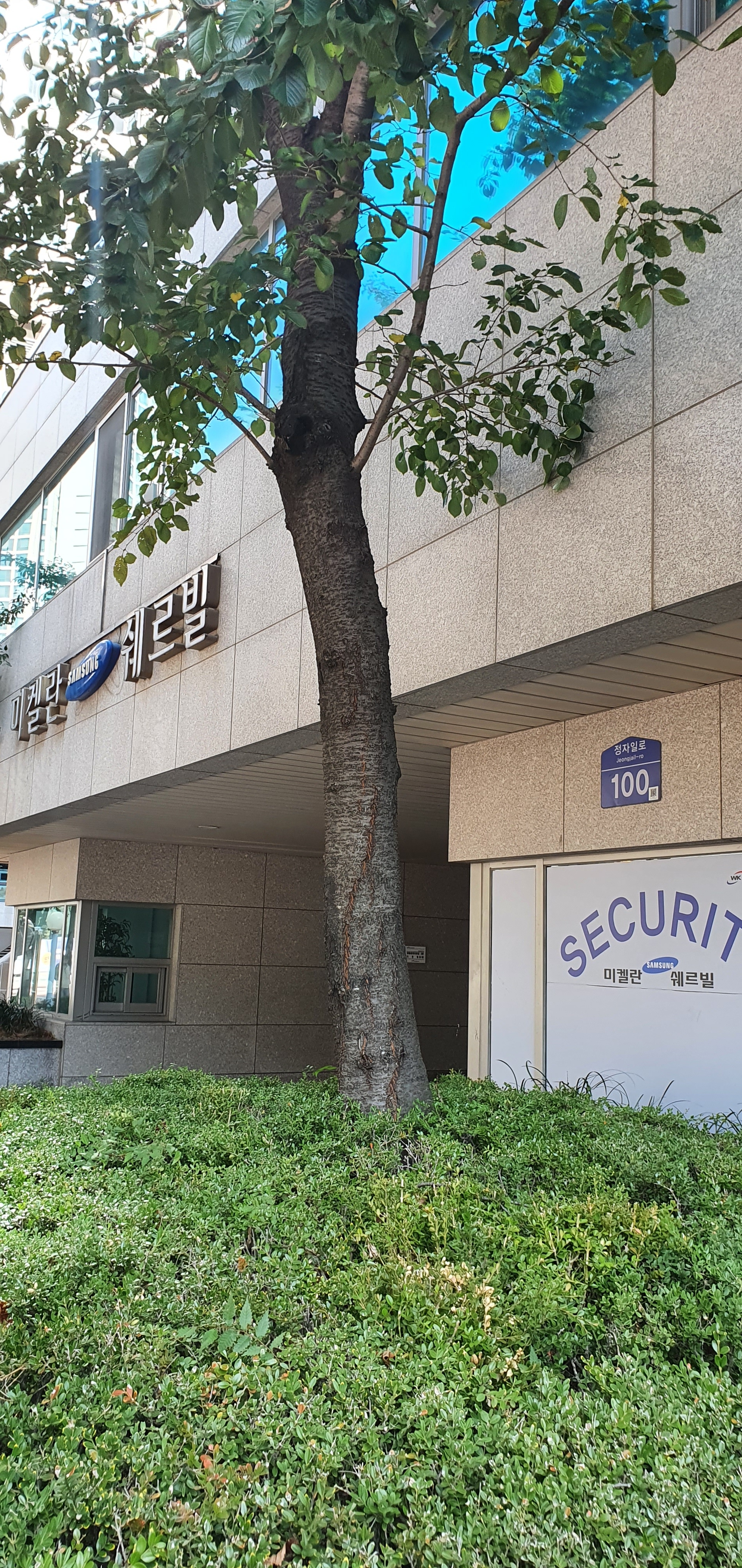 성원카라이프연구소