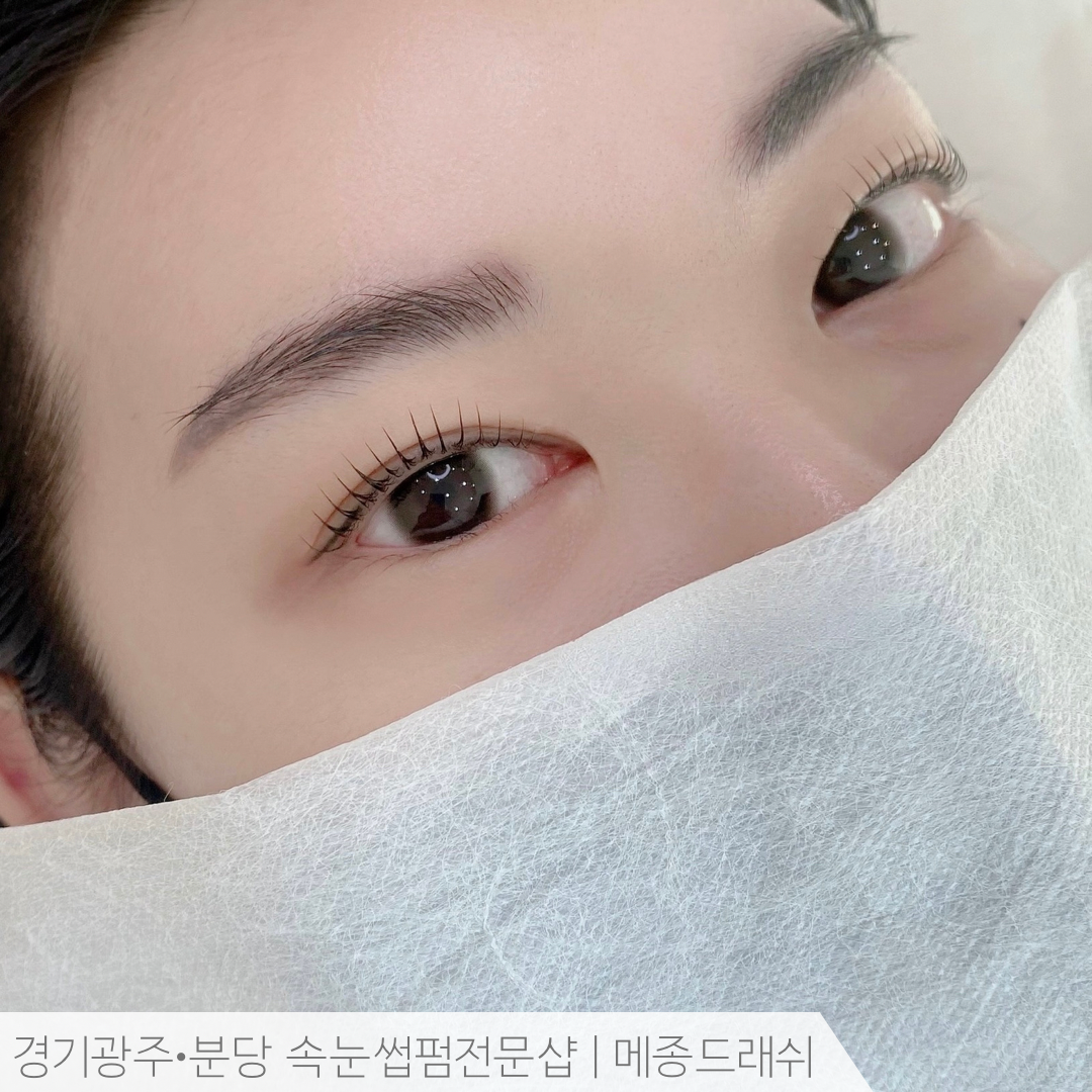메종드래쉬