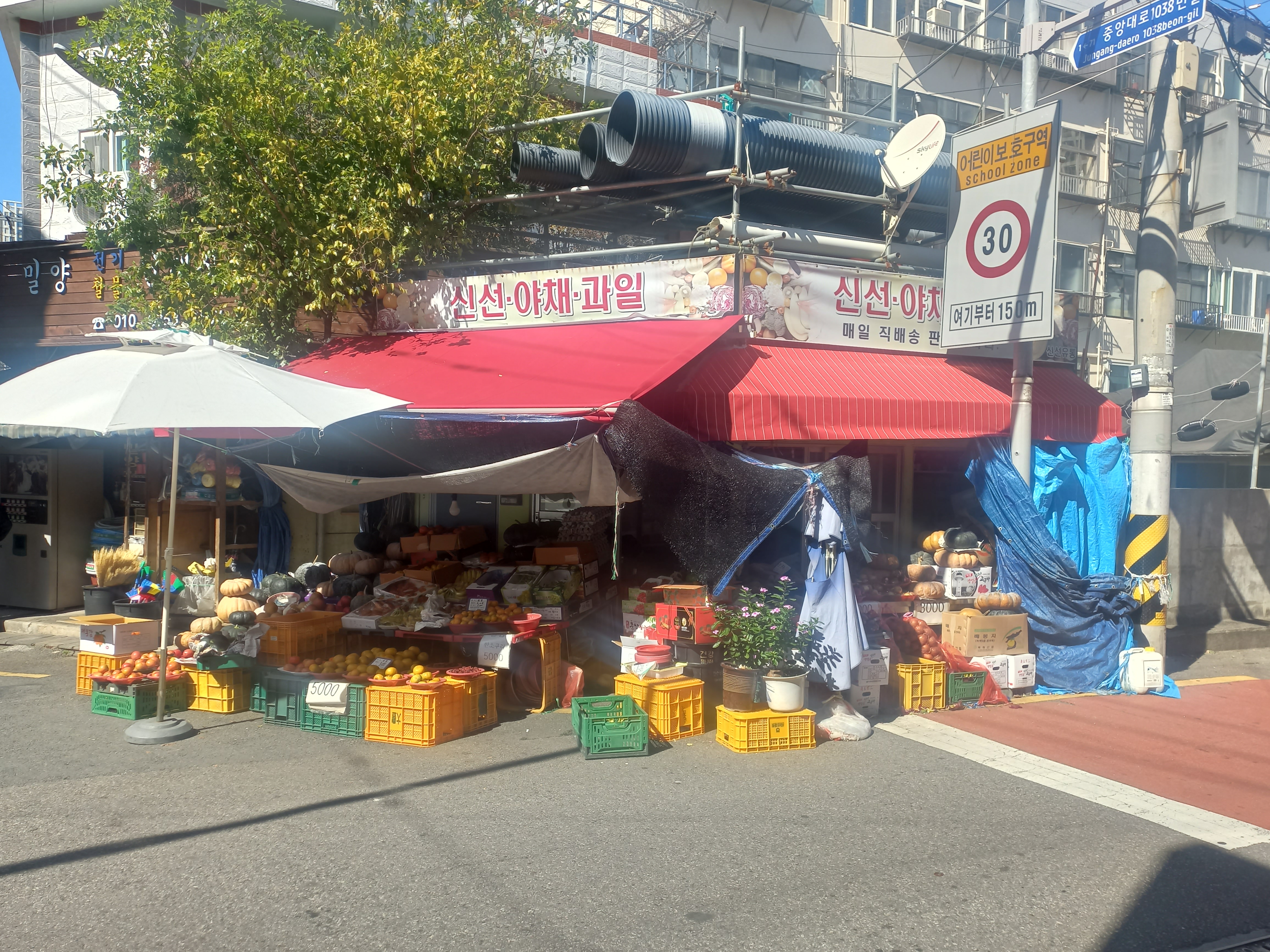 신선야채과일