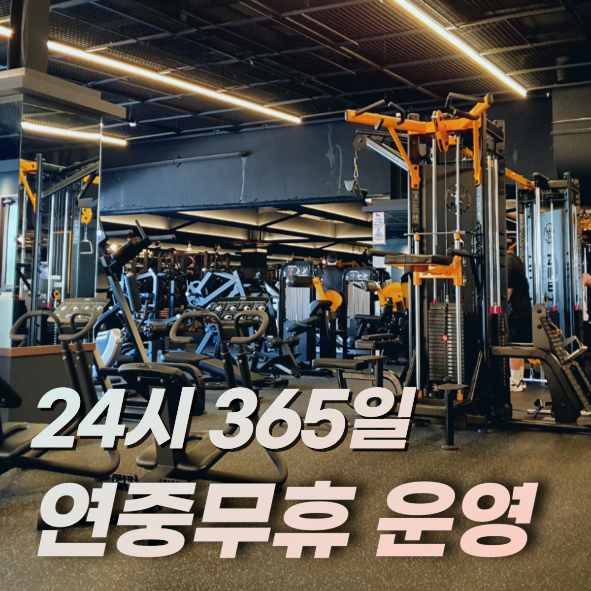 404피트니스 헬스&PT 내외점
