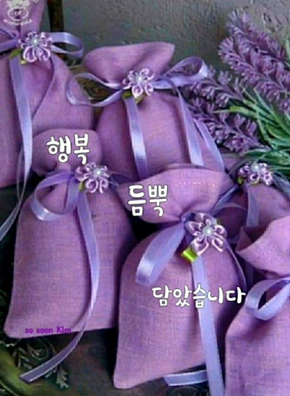 큐사랑 염색