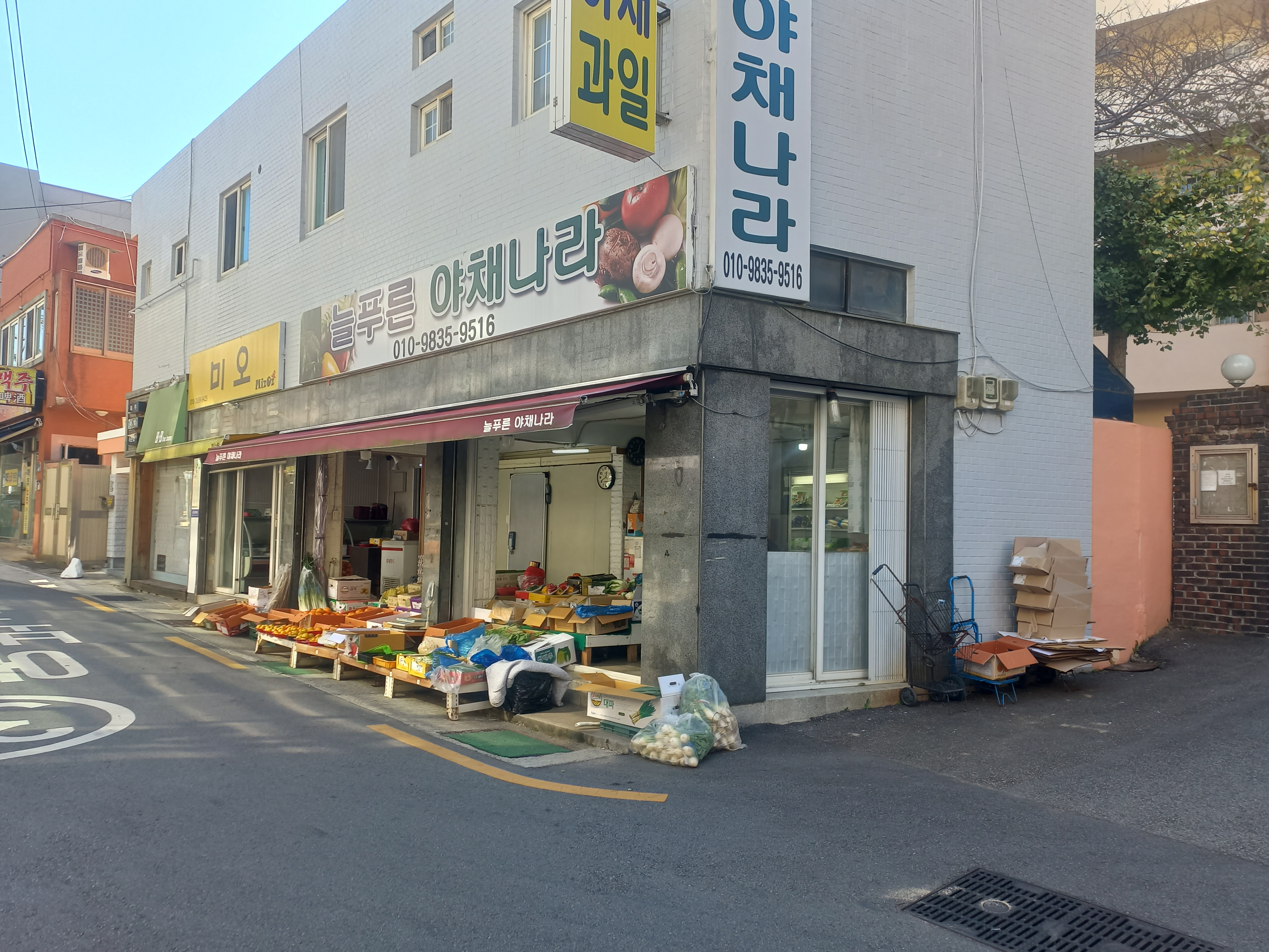 늘푸른야채나라