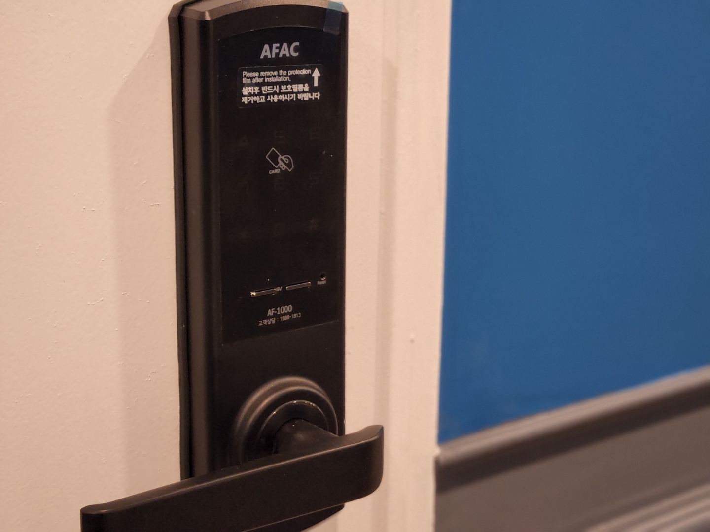 5번째 스튜디오 사진