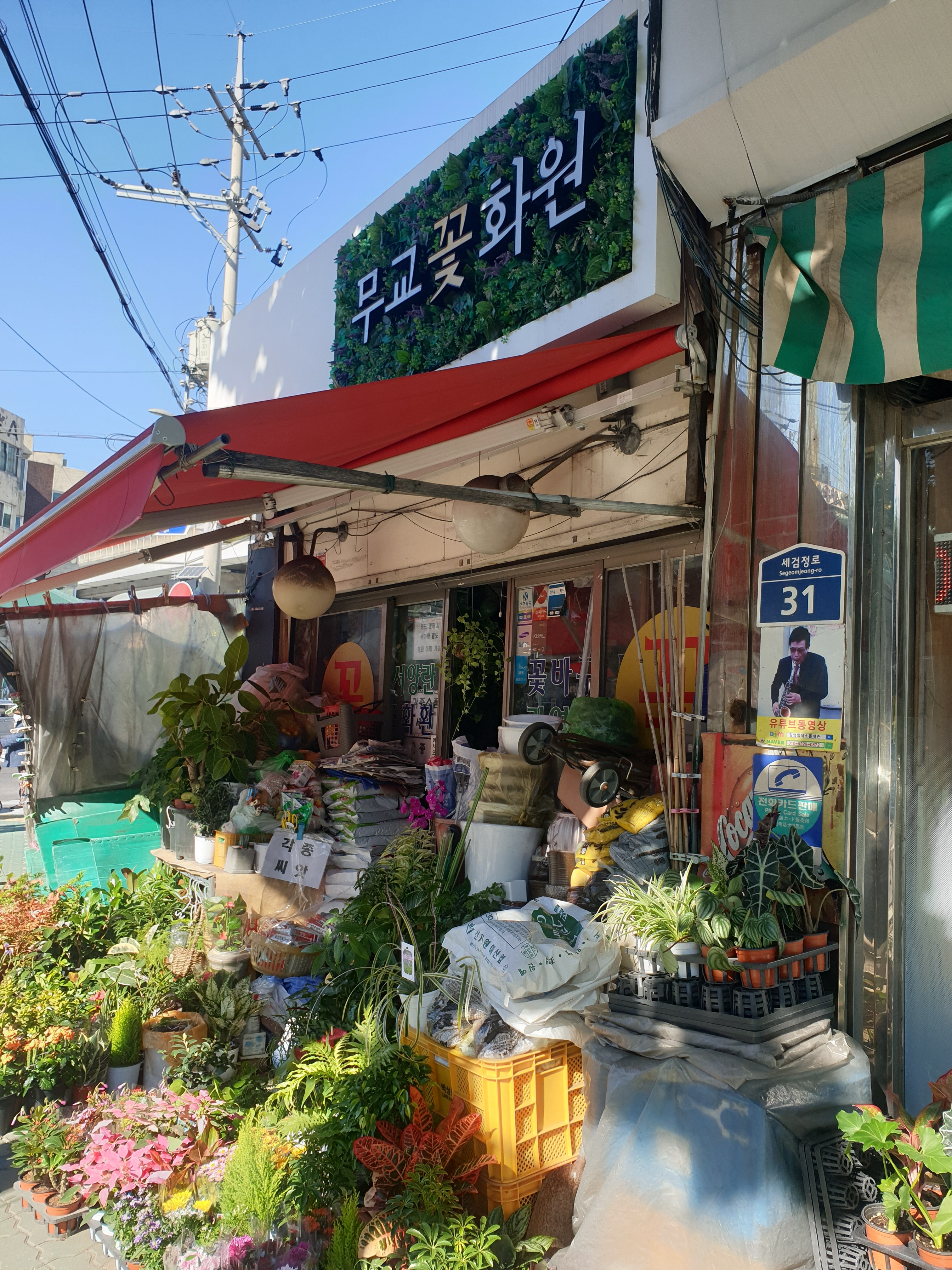 무교꽃화원