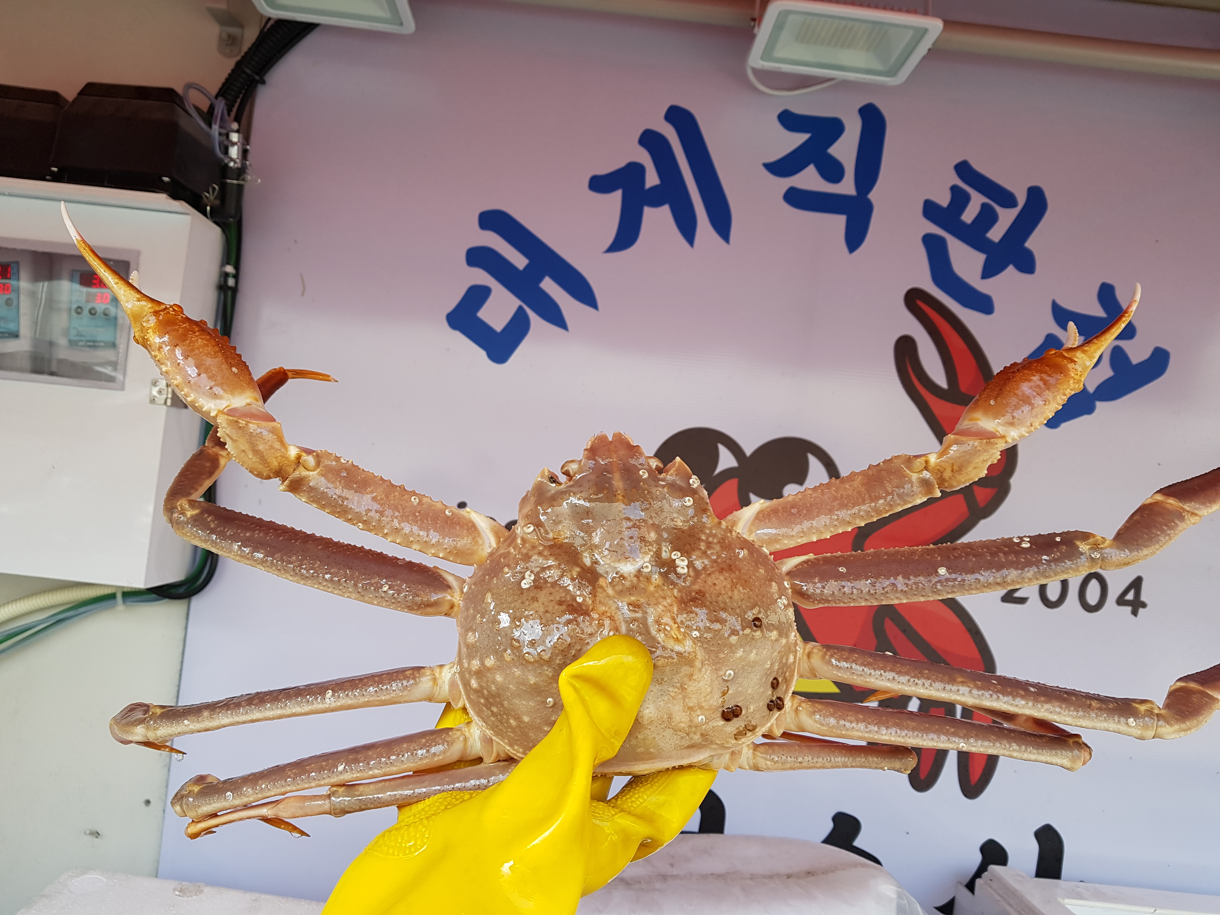 대성수산 대게직판점 창원점