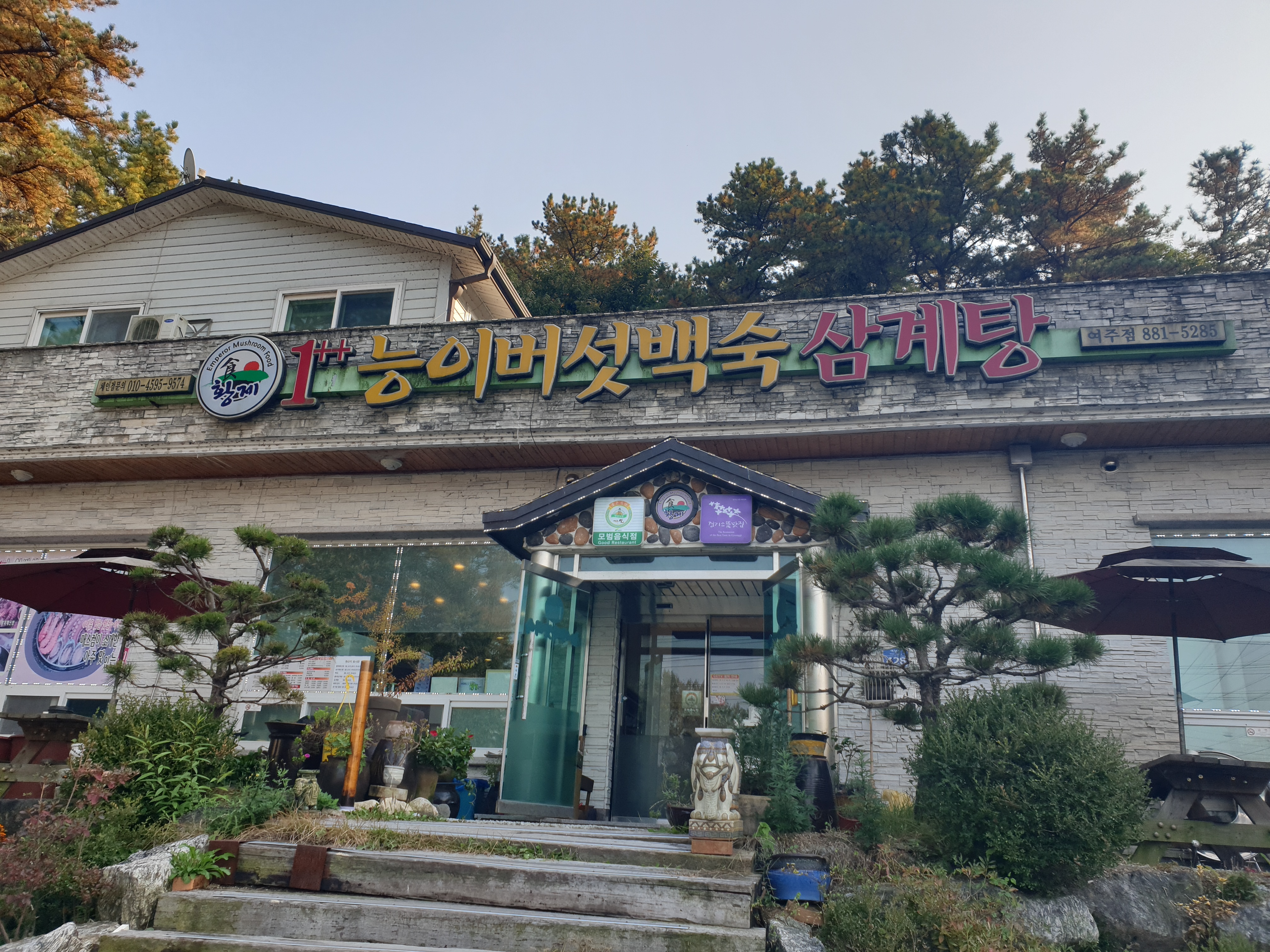 황제능이버섯백숙