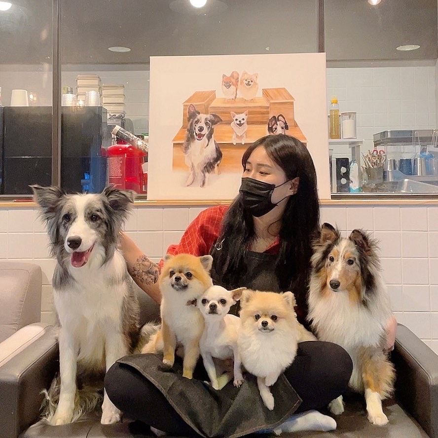 개꿀잼 경상 애견맛집