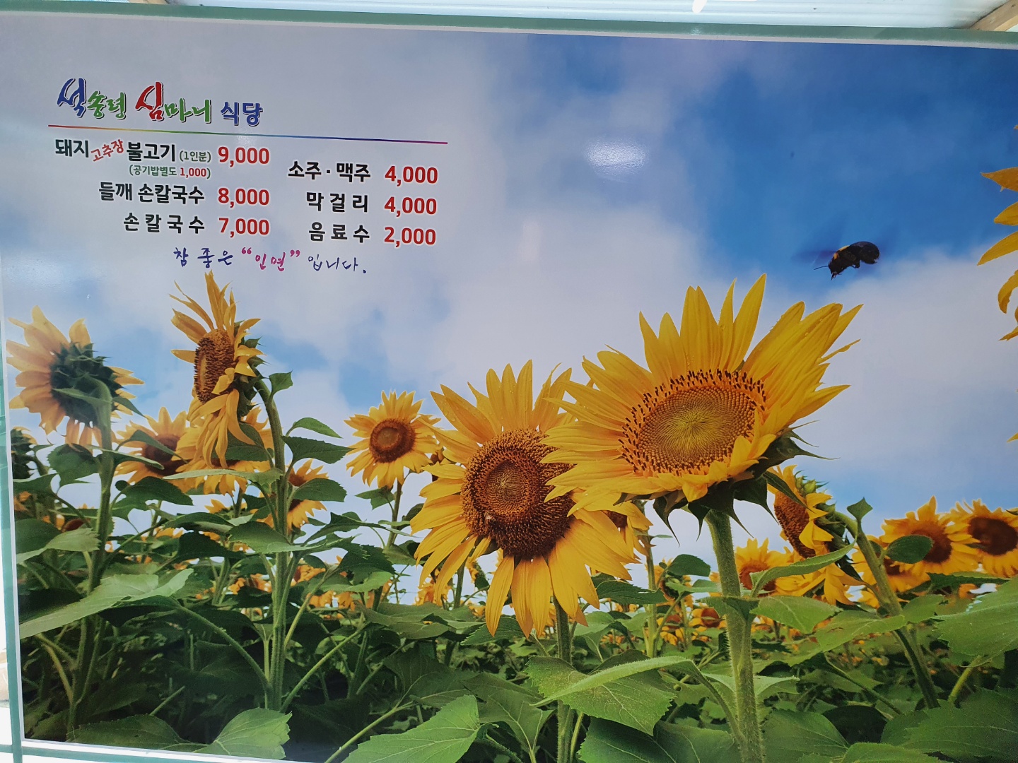 석송령심마니