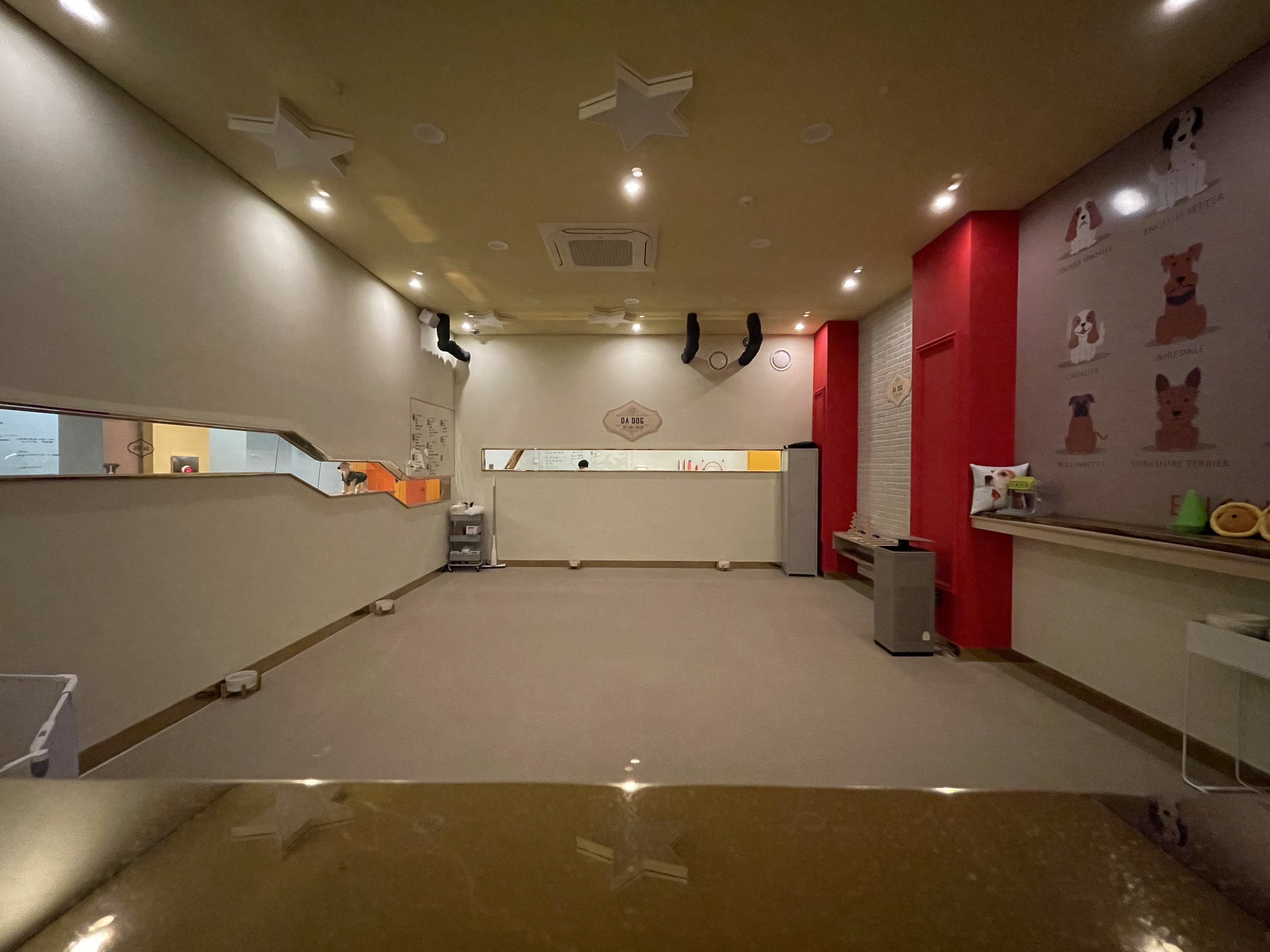 다독펫케어센터 대표 이미지