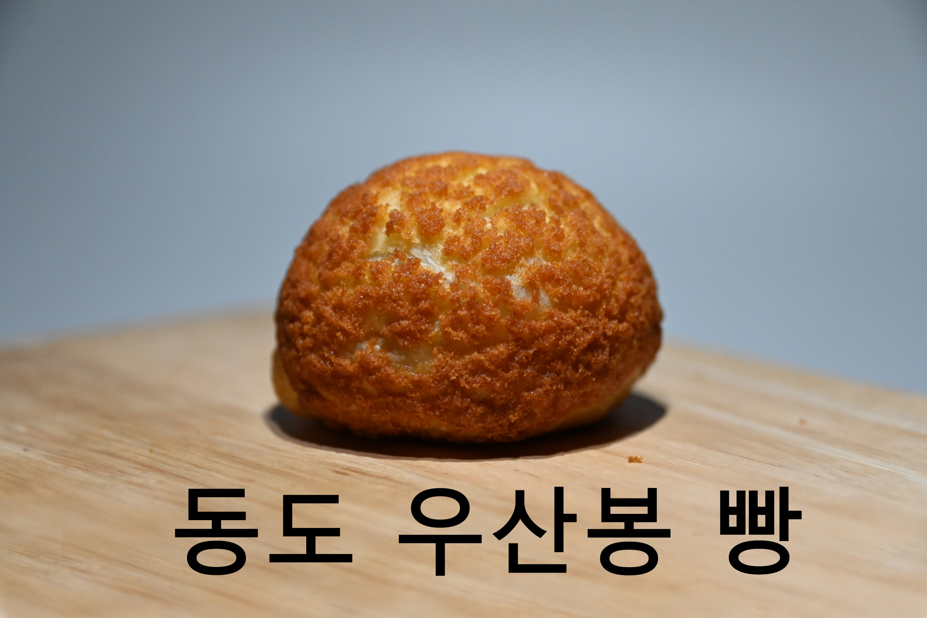 153독도강치커피 본점 반려동물 동반 애견카페