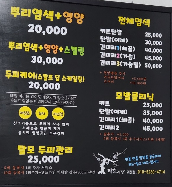 태후사랑 괴정점
