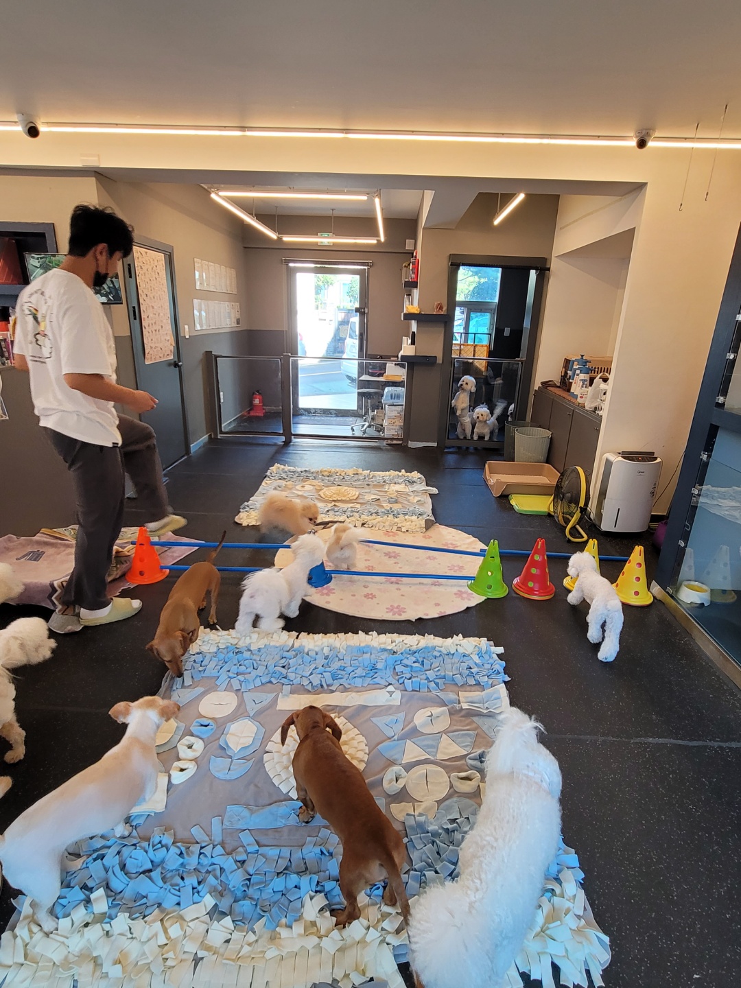 반려식탁 대표 이미지