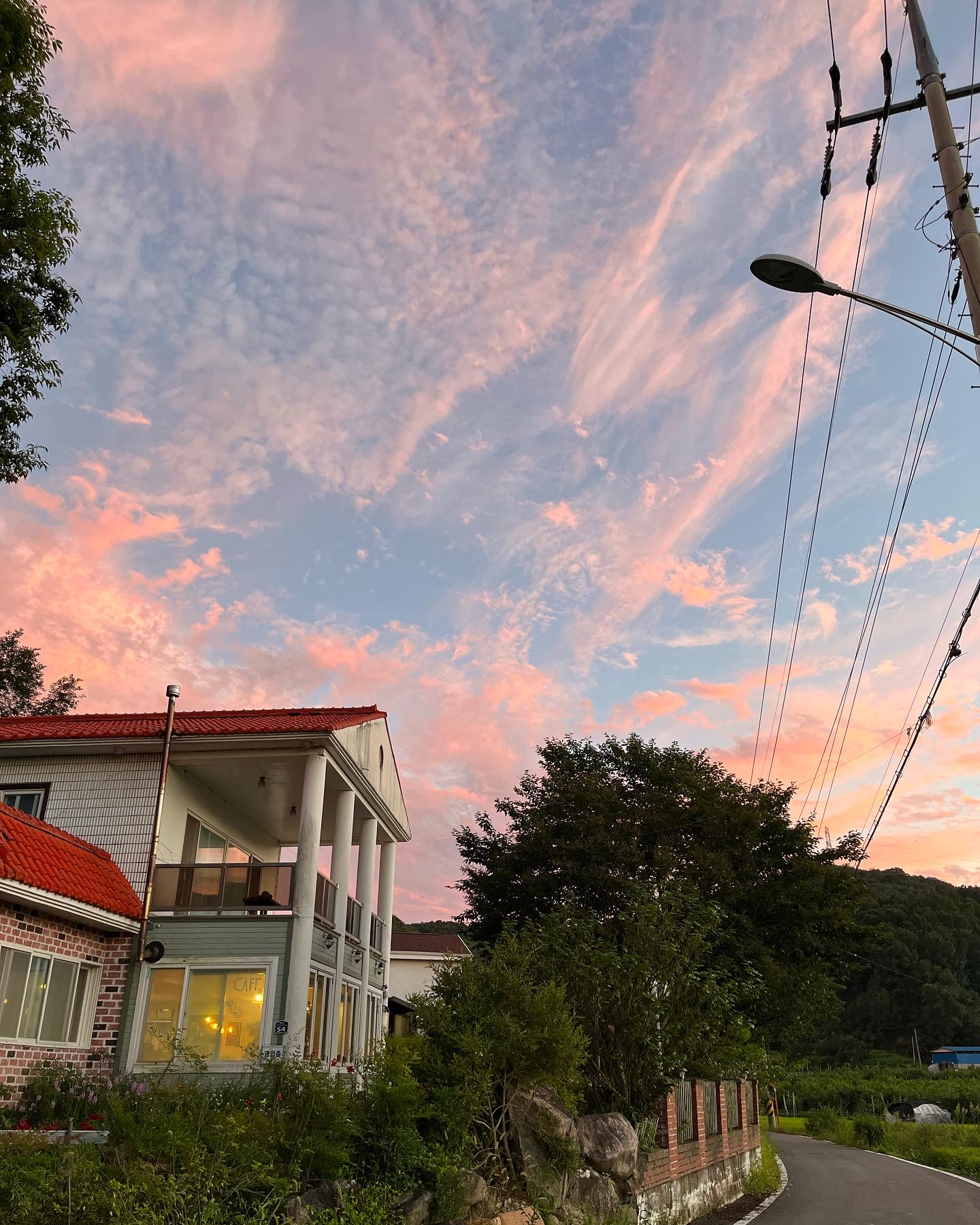 다래 설명사진