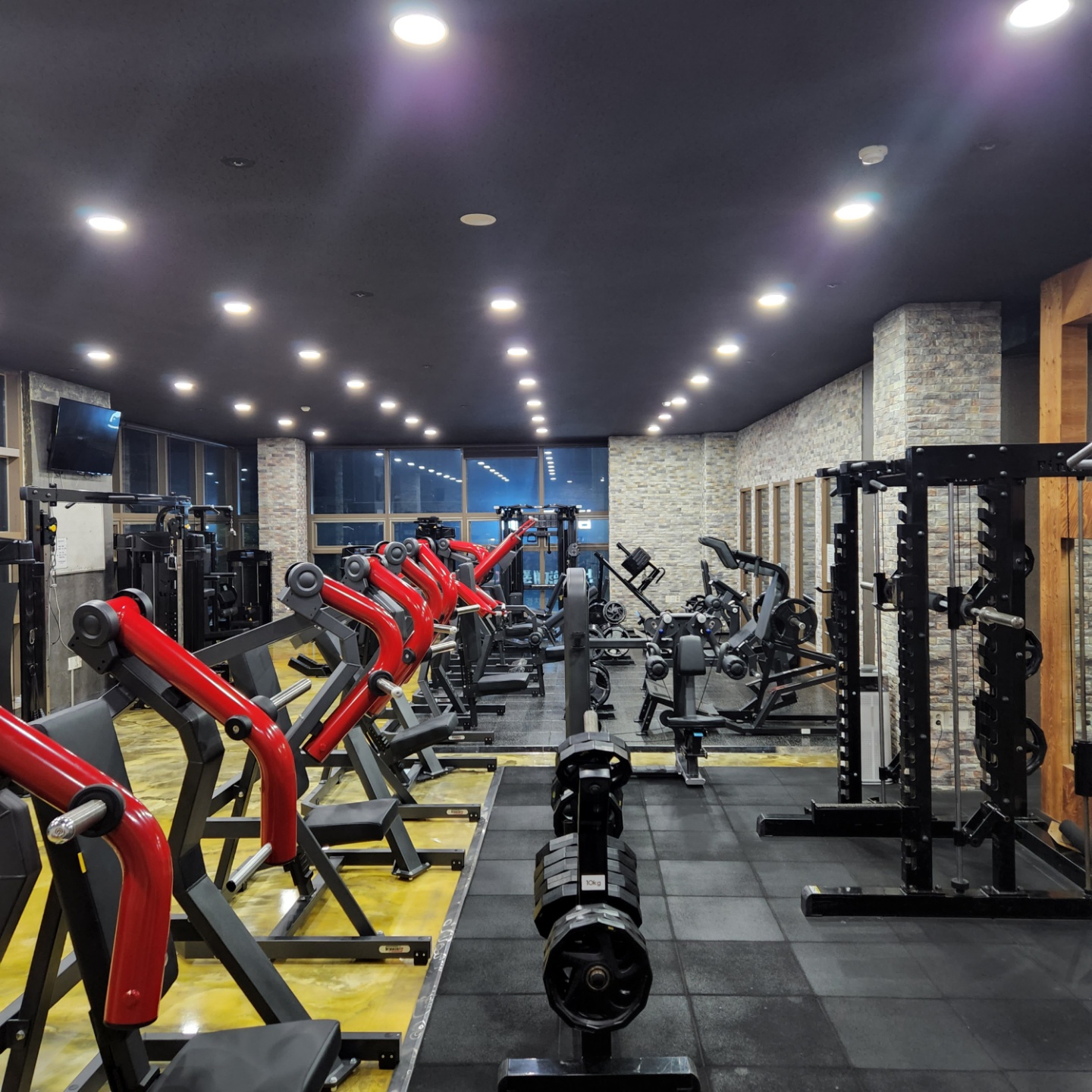 피트니스 팀 불독