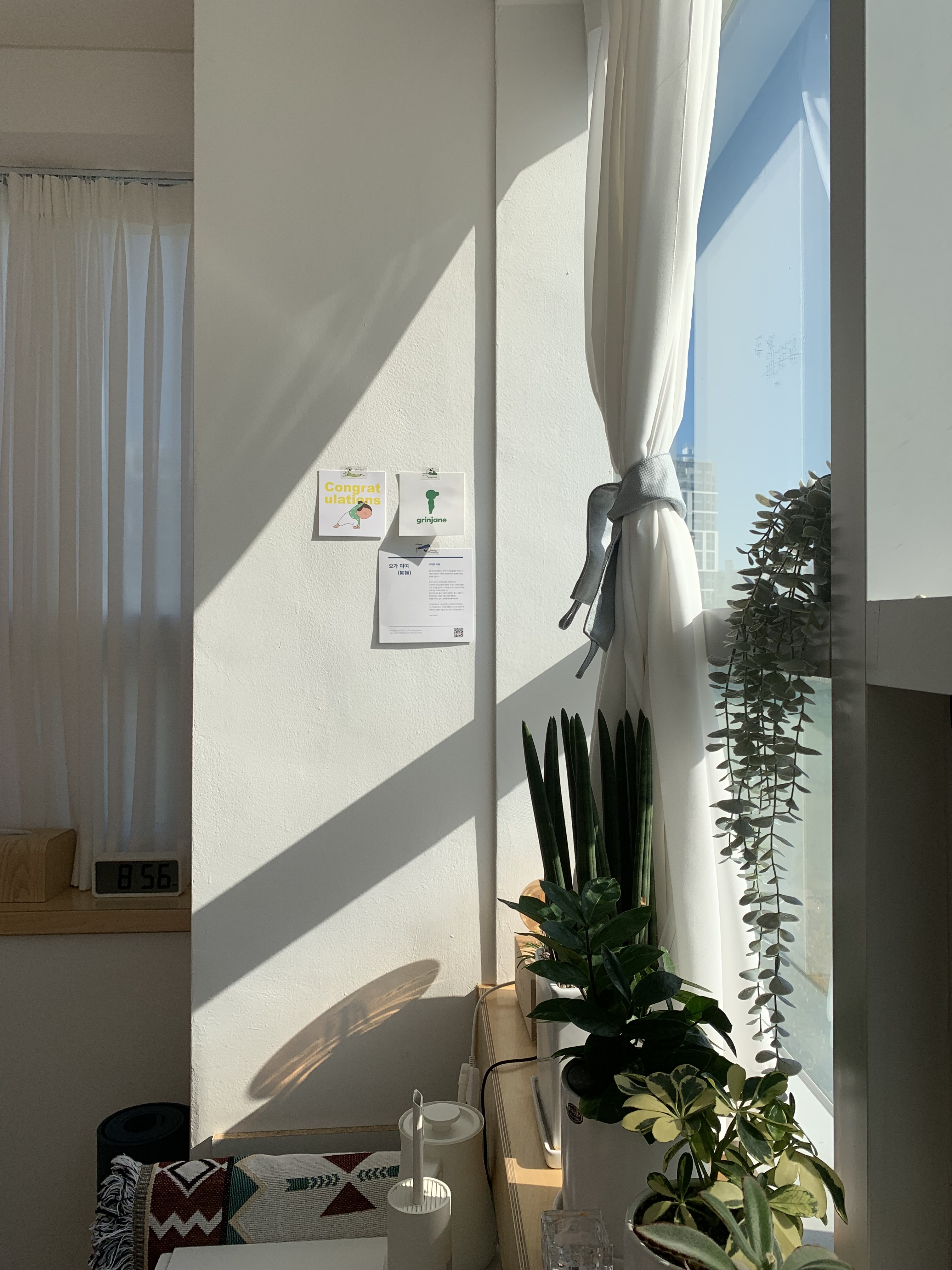 요가 여여 대표 이미지