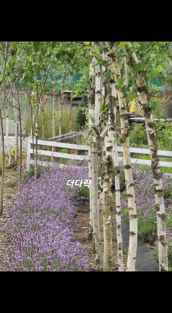 다락