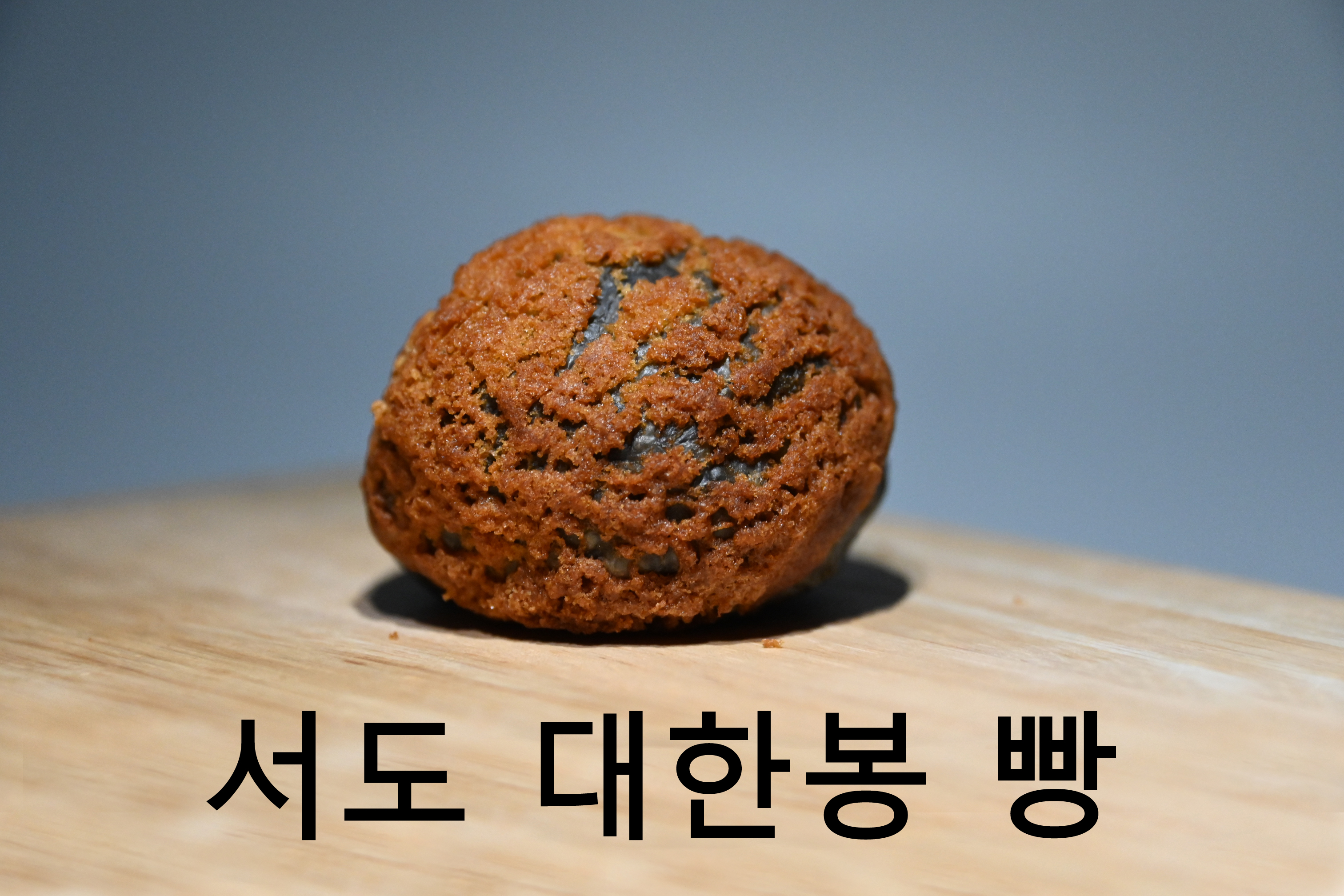 153독도강치커피 본점 경상 애견맛집