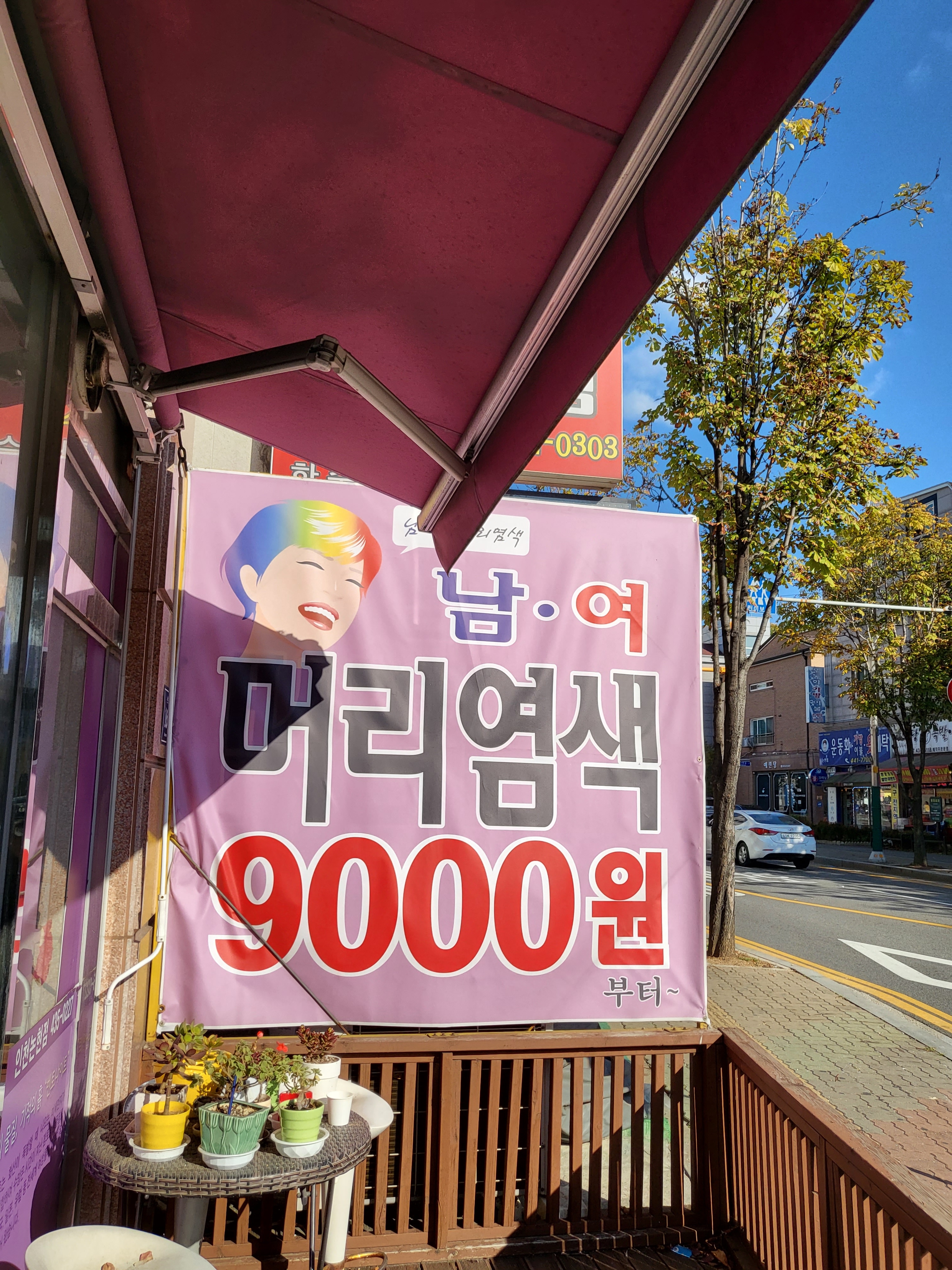 구피샵 인천논현점