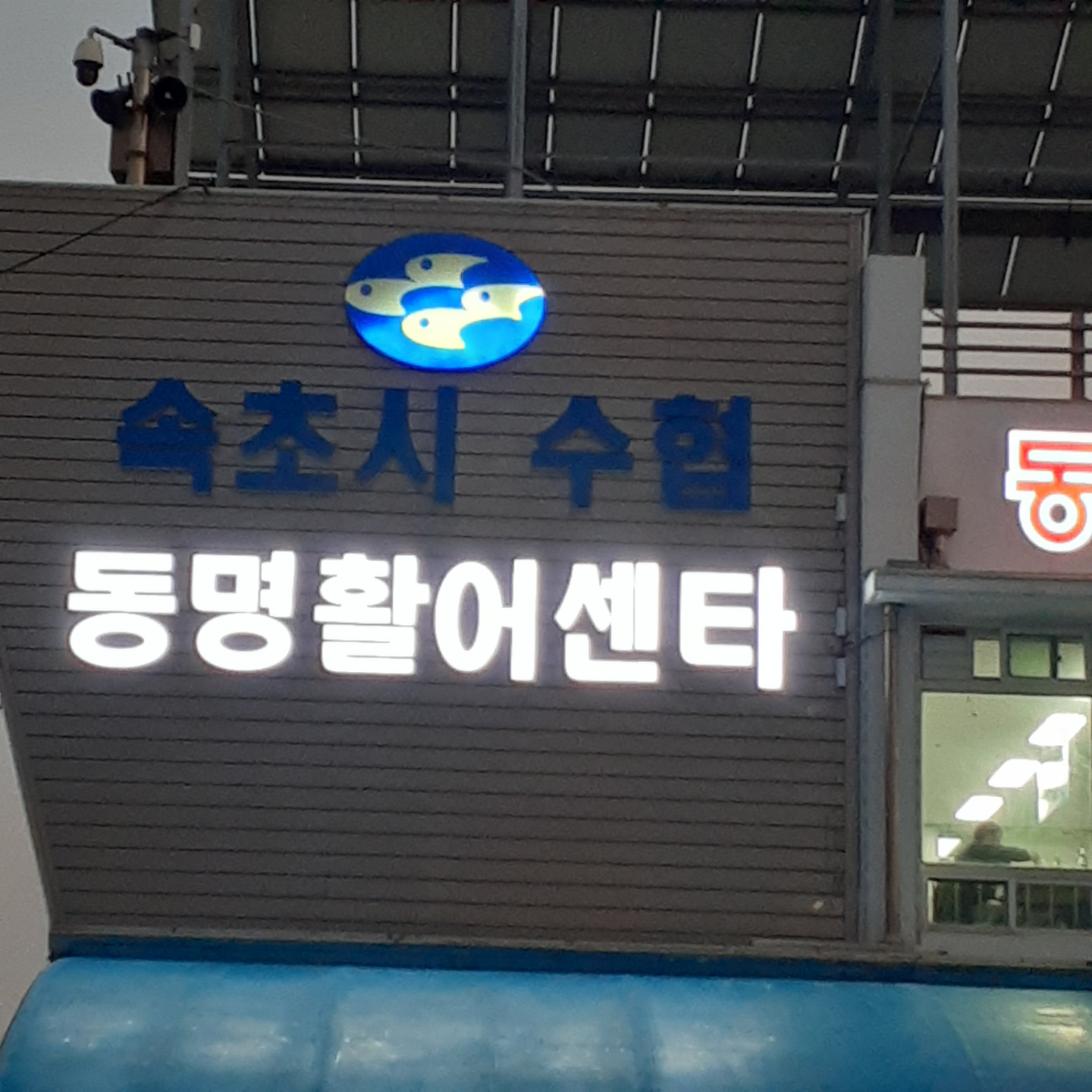 속초시수협동명활어센터