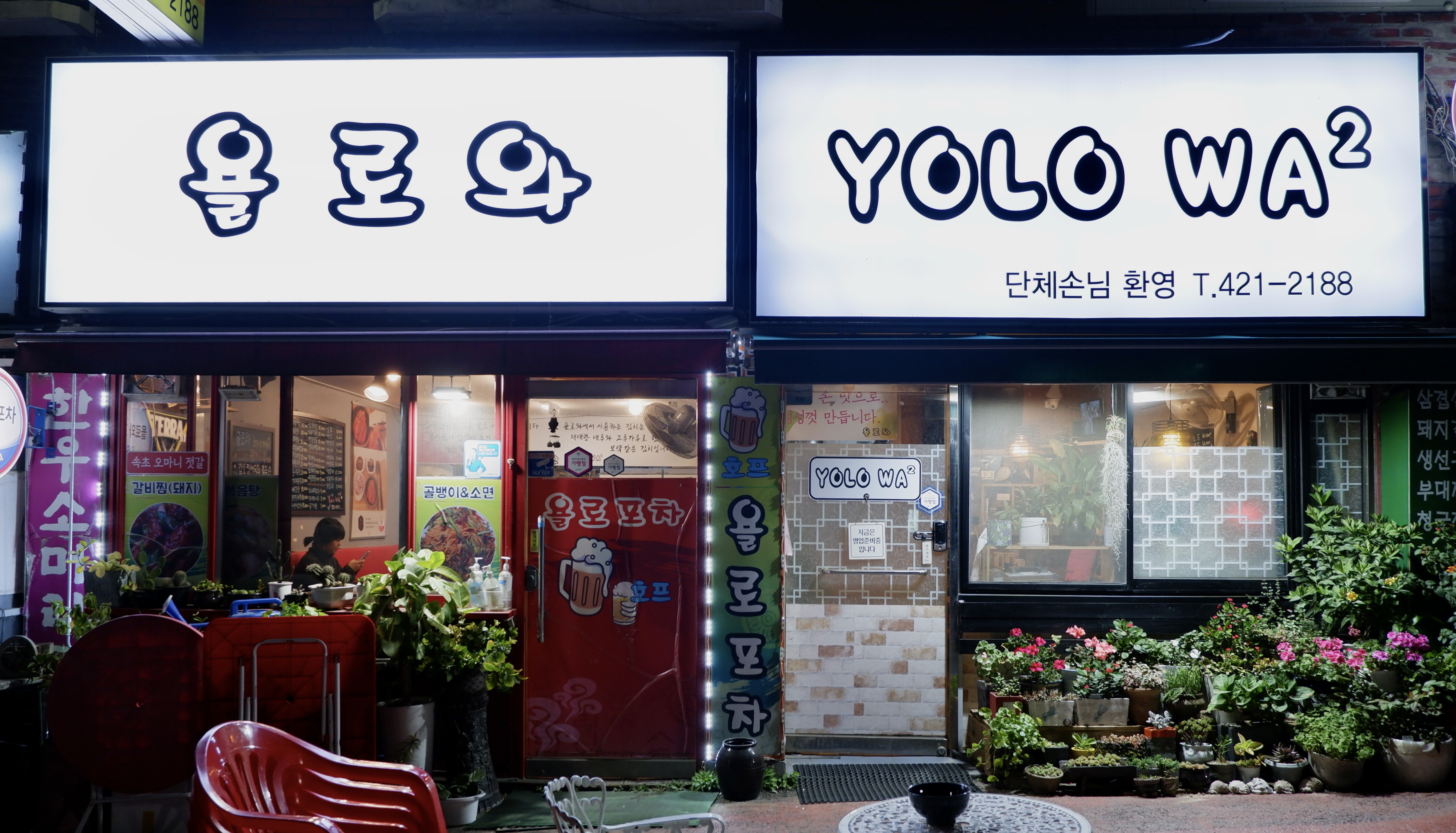 욜로와 포차