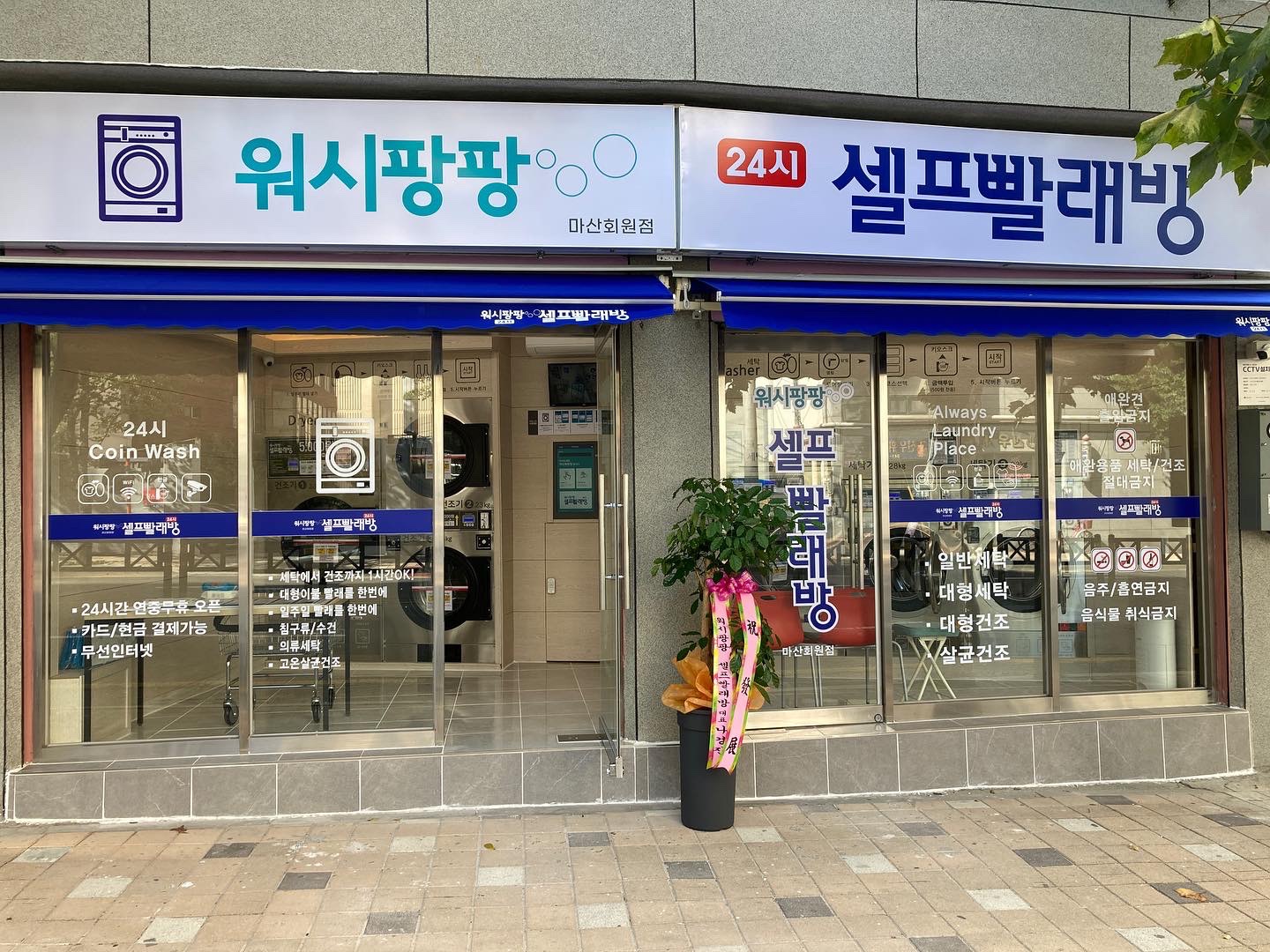 워시팡팡 창원마산회원점