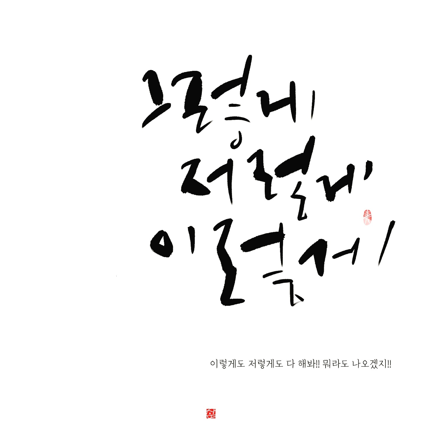 제주그리미 반려동물 동반 애견카페
