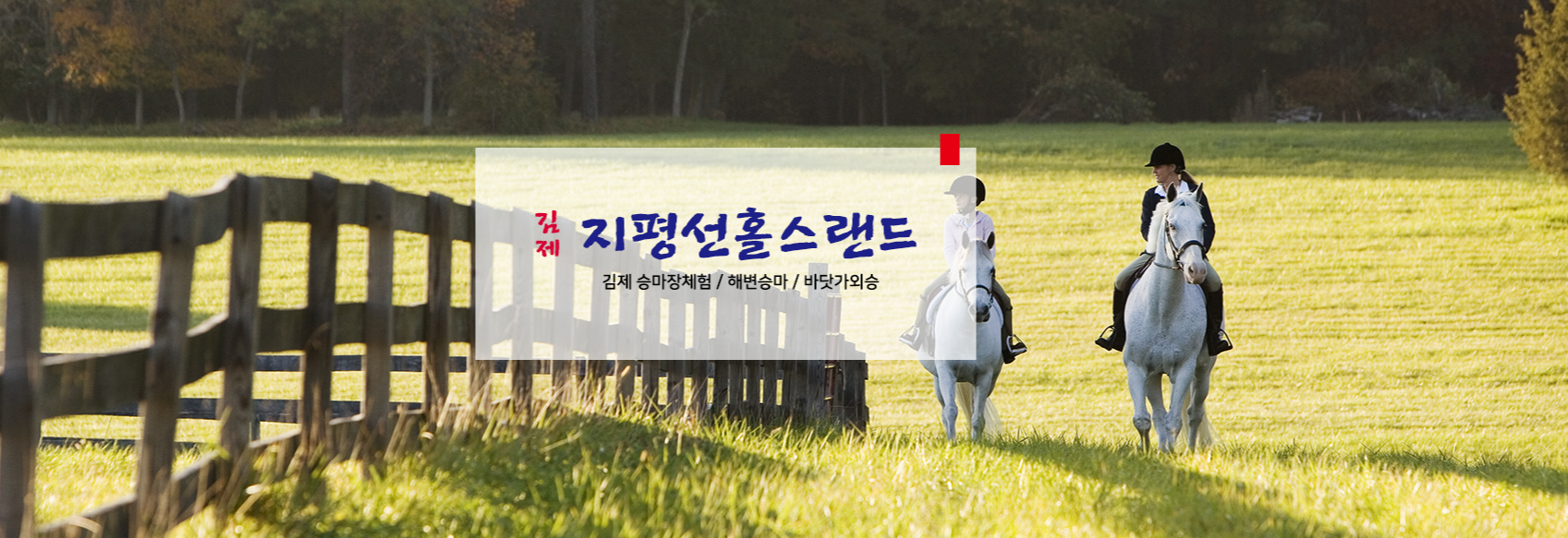 지평선홀스랜드