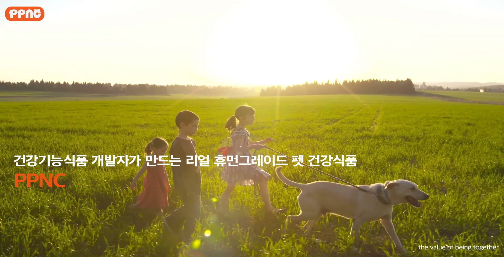 피피인터내셔널 대표 이미지