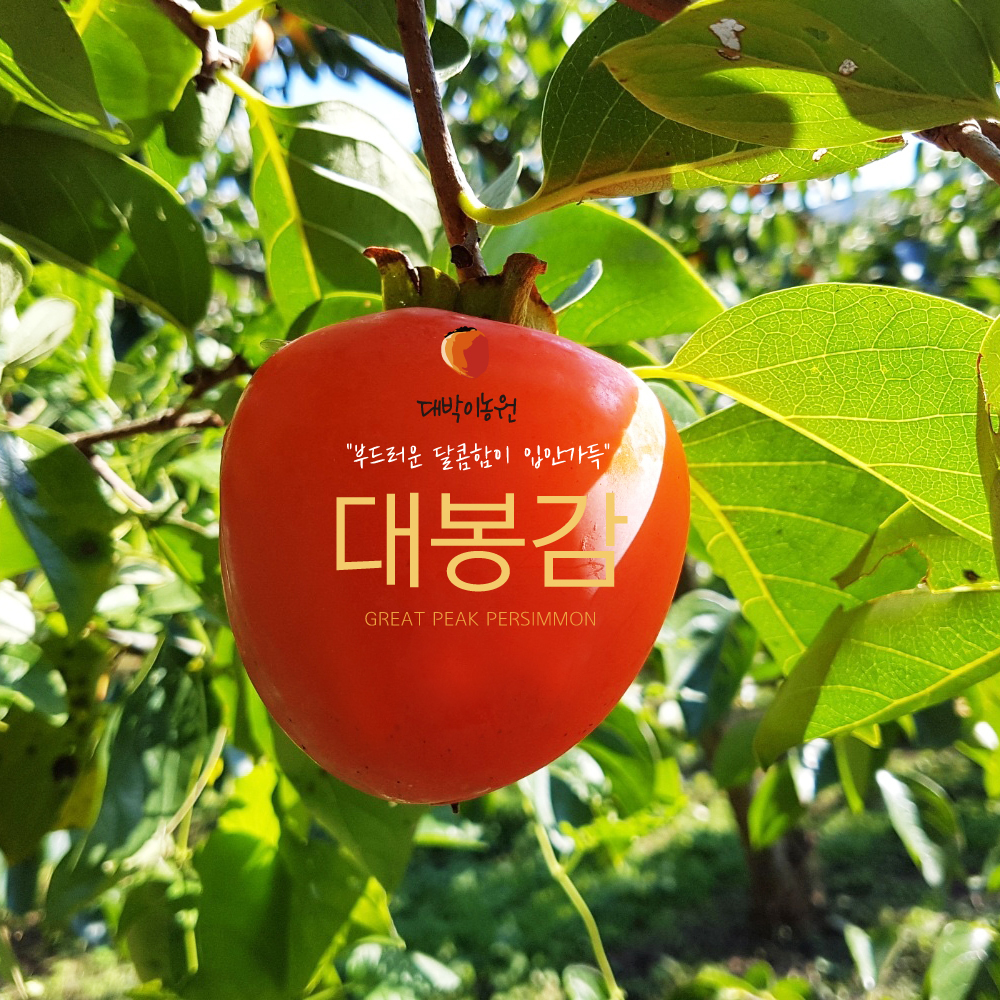 대박이농원
