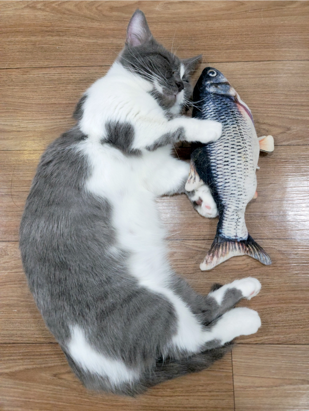 냥다방