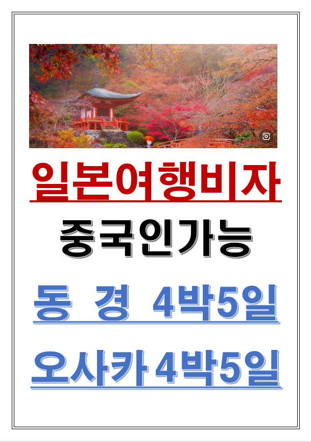 세종글로벌국제여행사