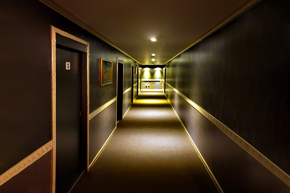더마치 photo 6