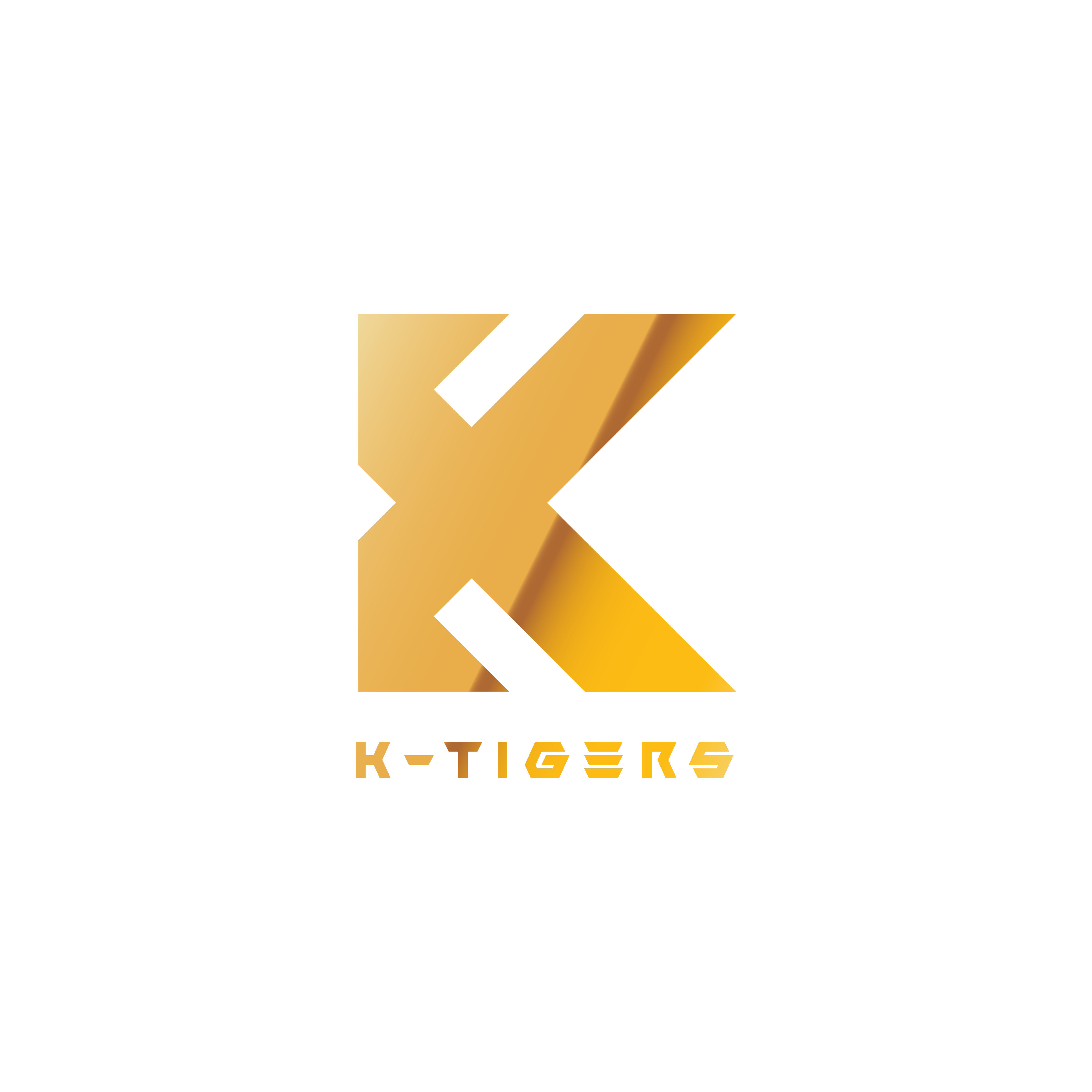 KTIGERS 명성태권도