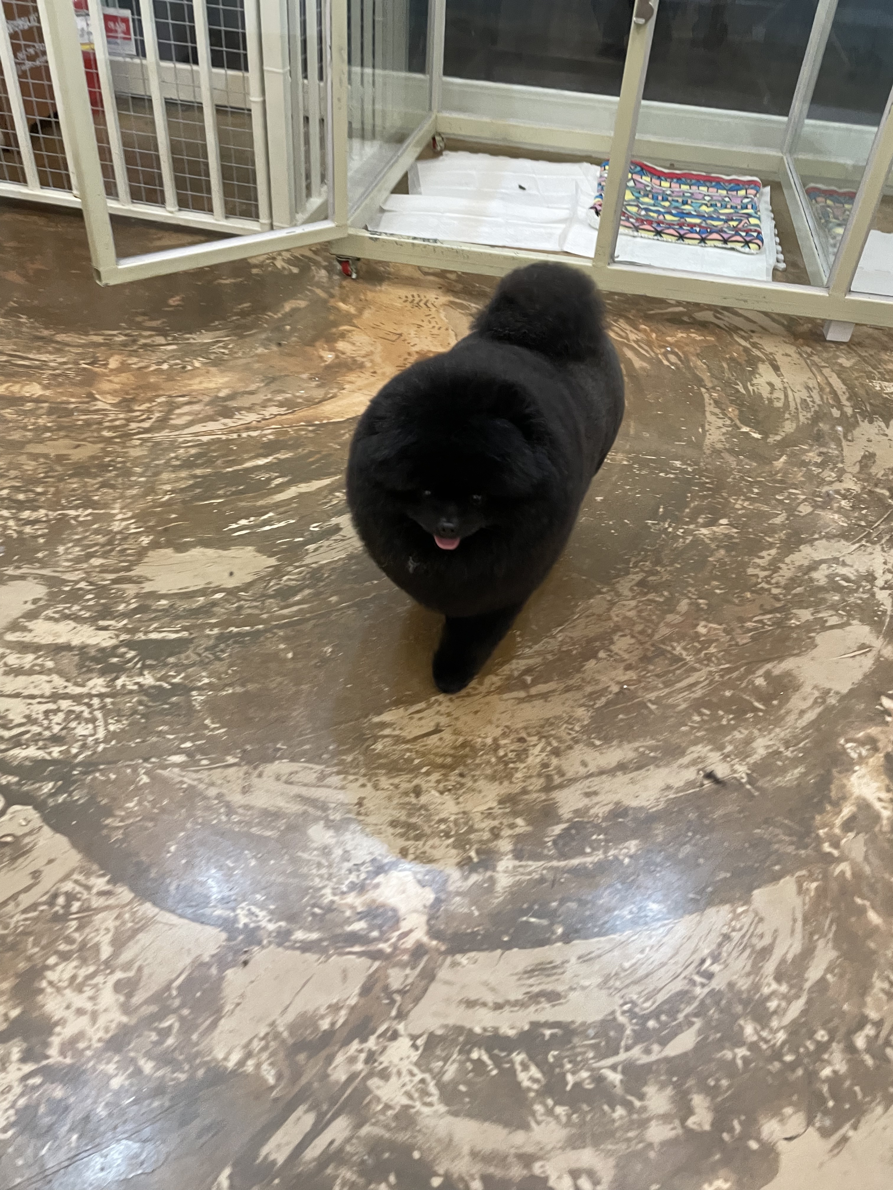 쓰담 대표 이미지
