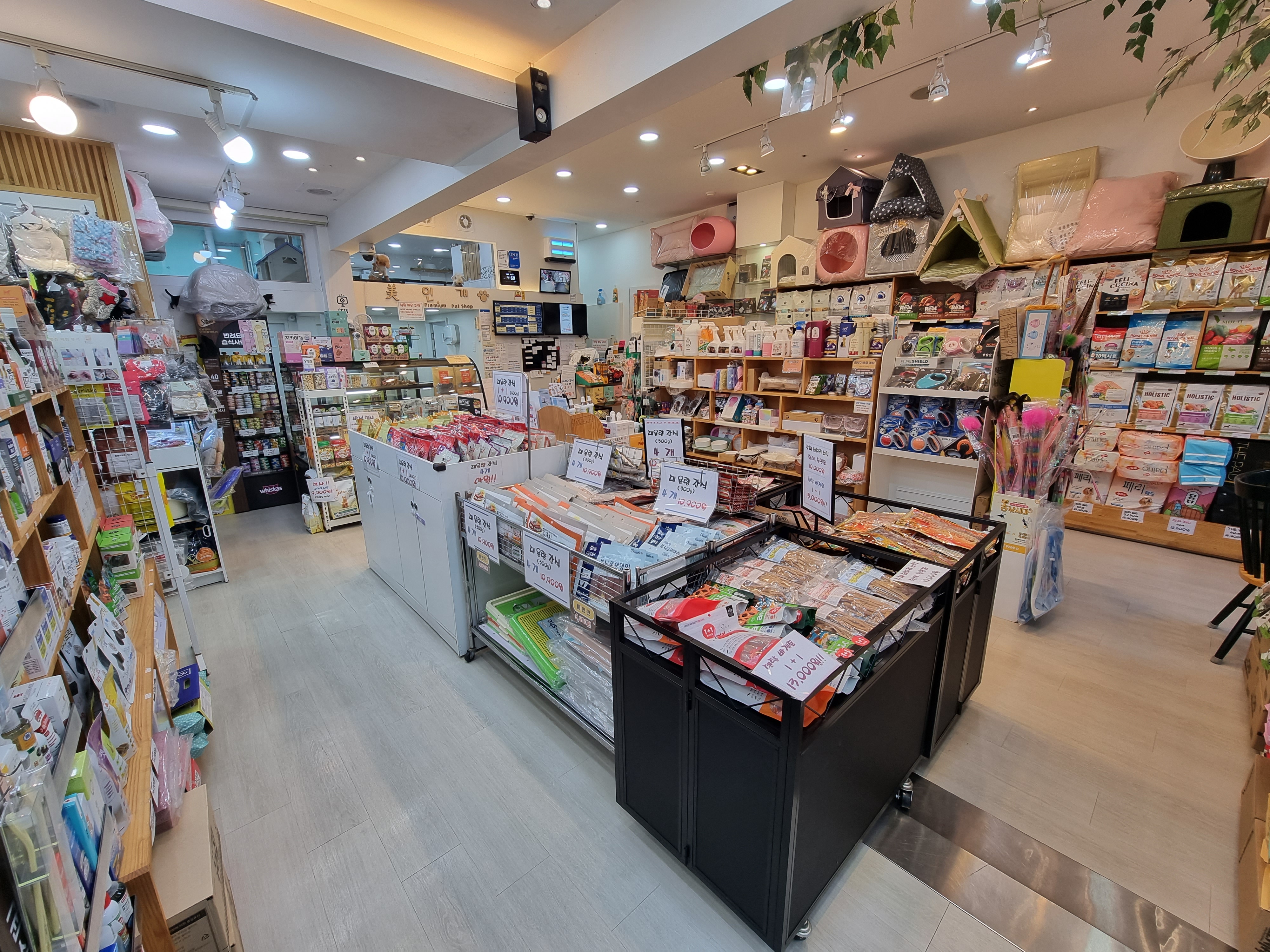 미인개 대표 이미지