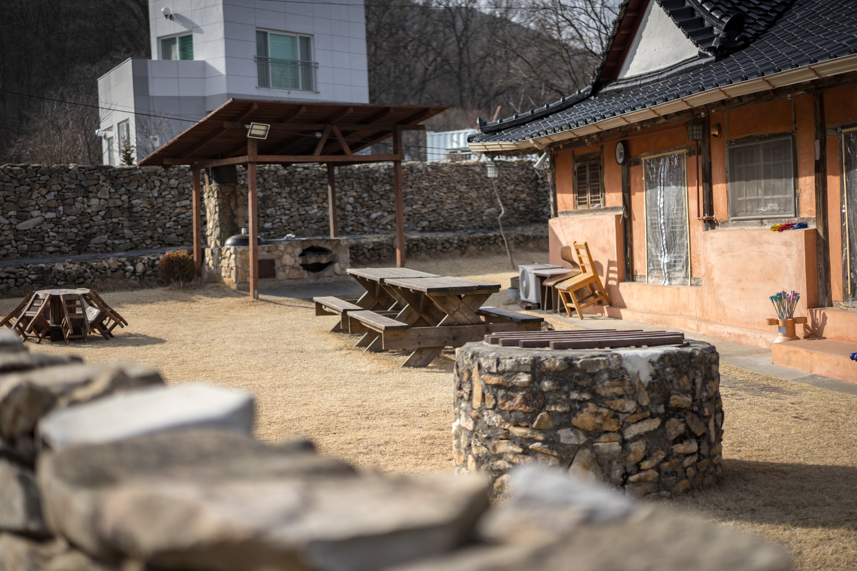 루이하우스 반려동물 동반 애견카페