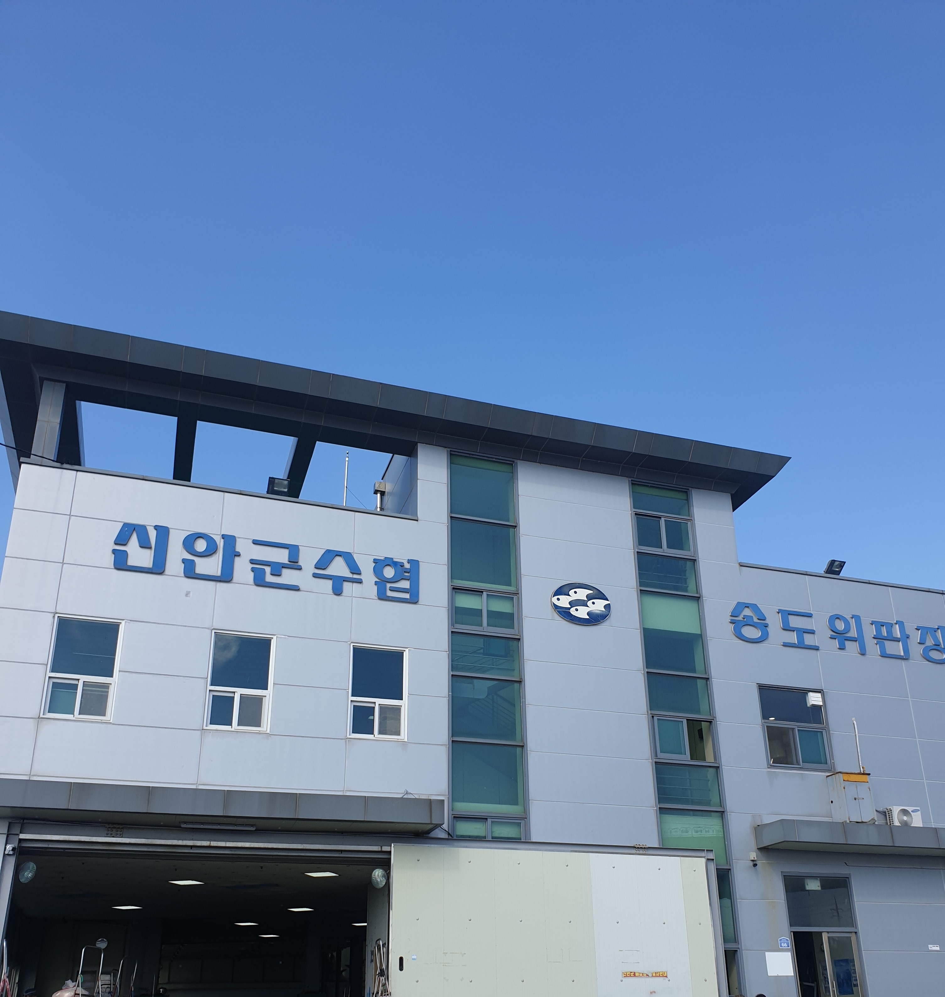 신안군수협 송도위판장