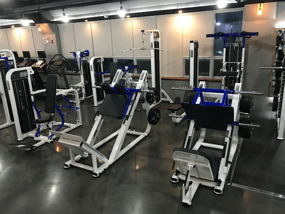 나무 휘트니스