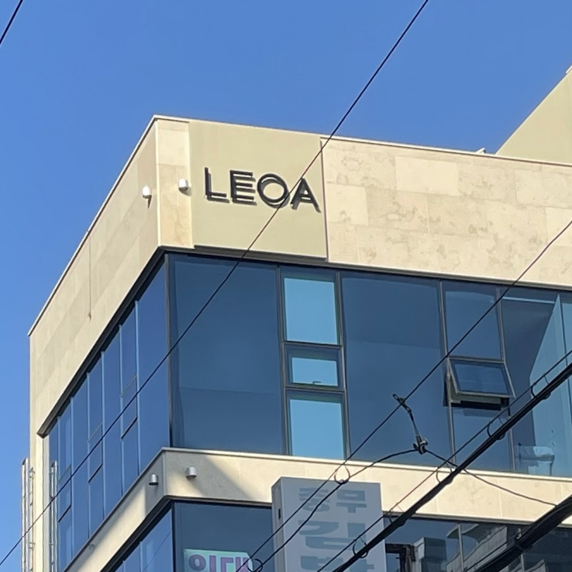 레오아에스테틱 부산 본점