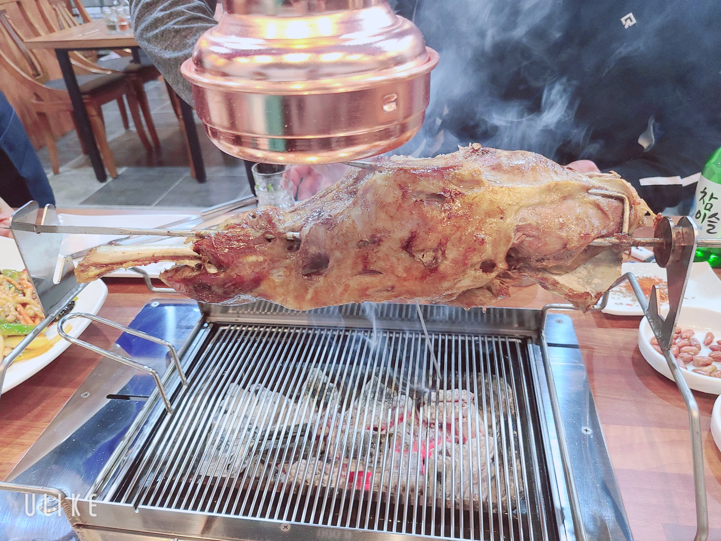 숙미고양