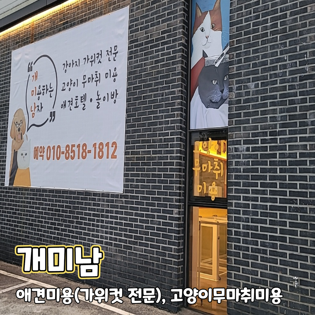 개미남 대표 이미지