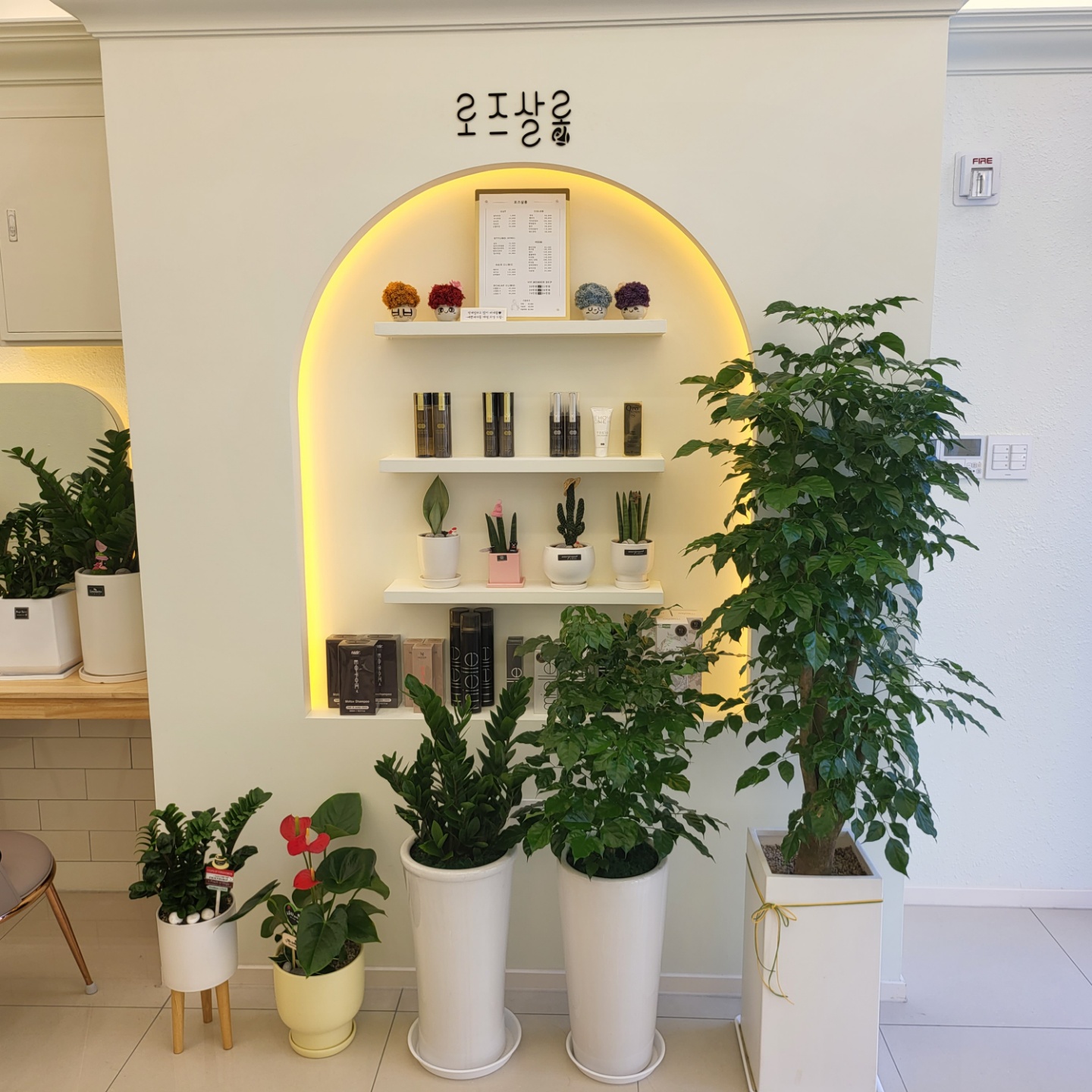 로즈살롱