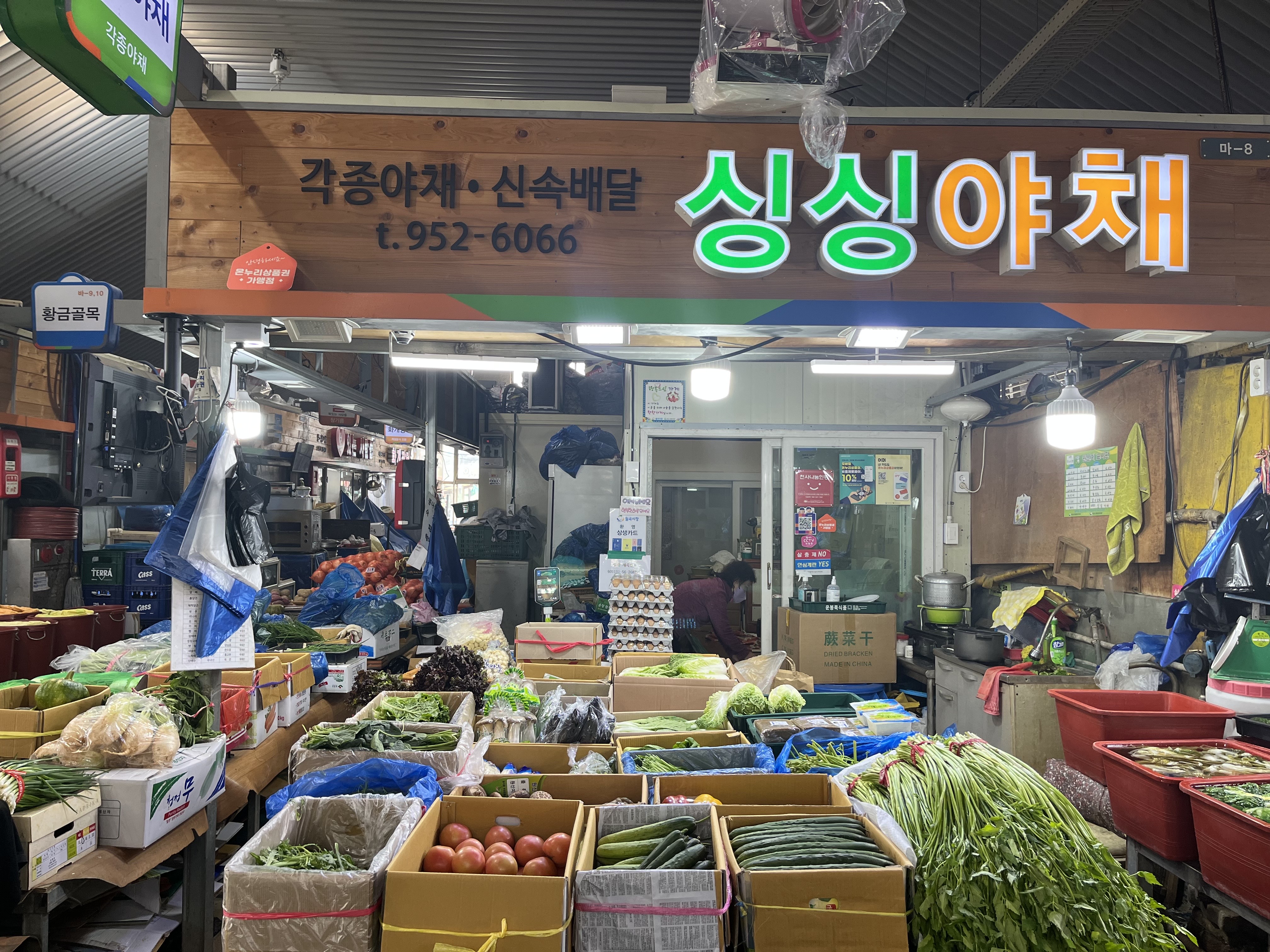 싱싱야채