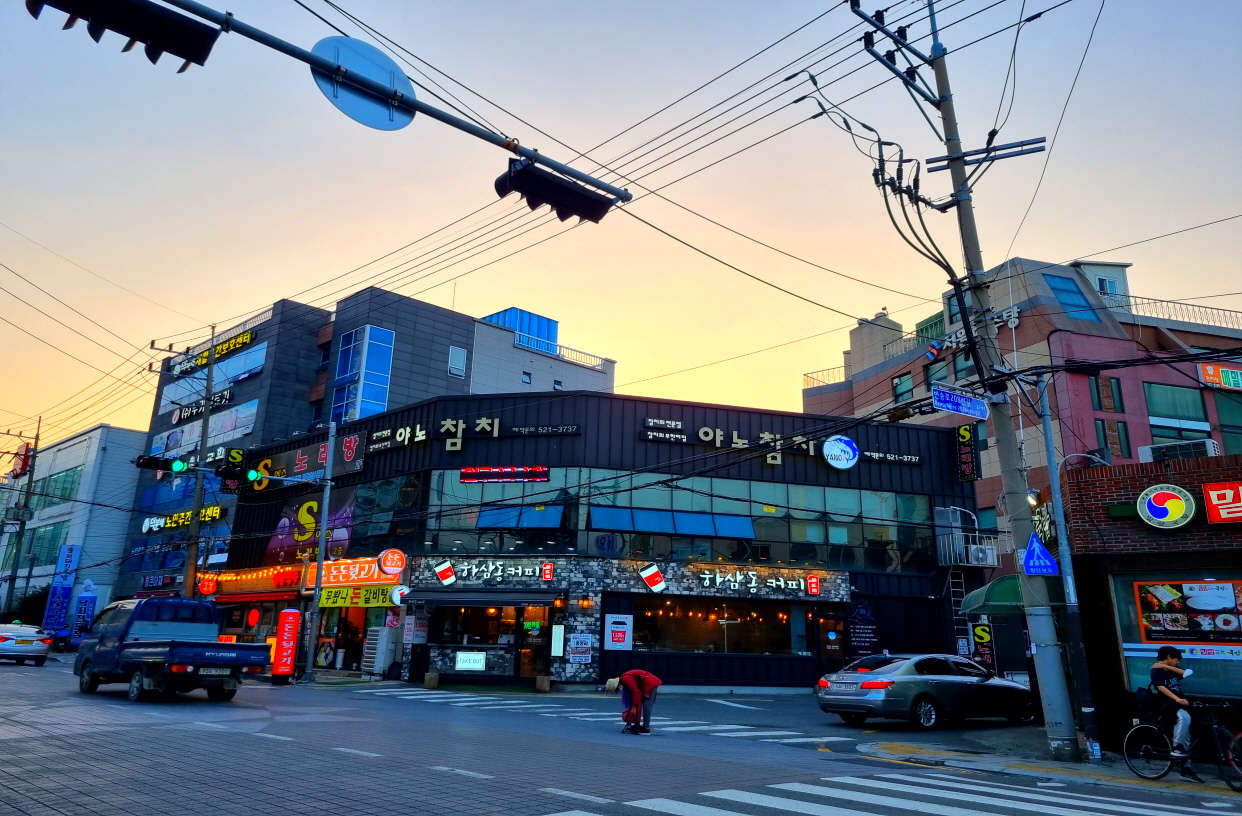 야노참치