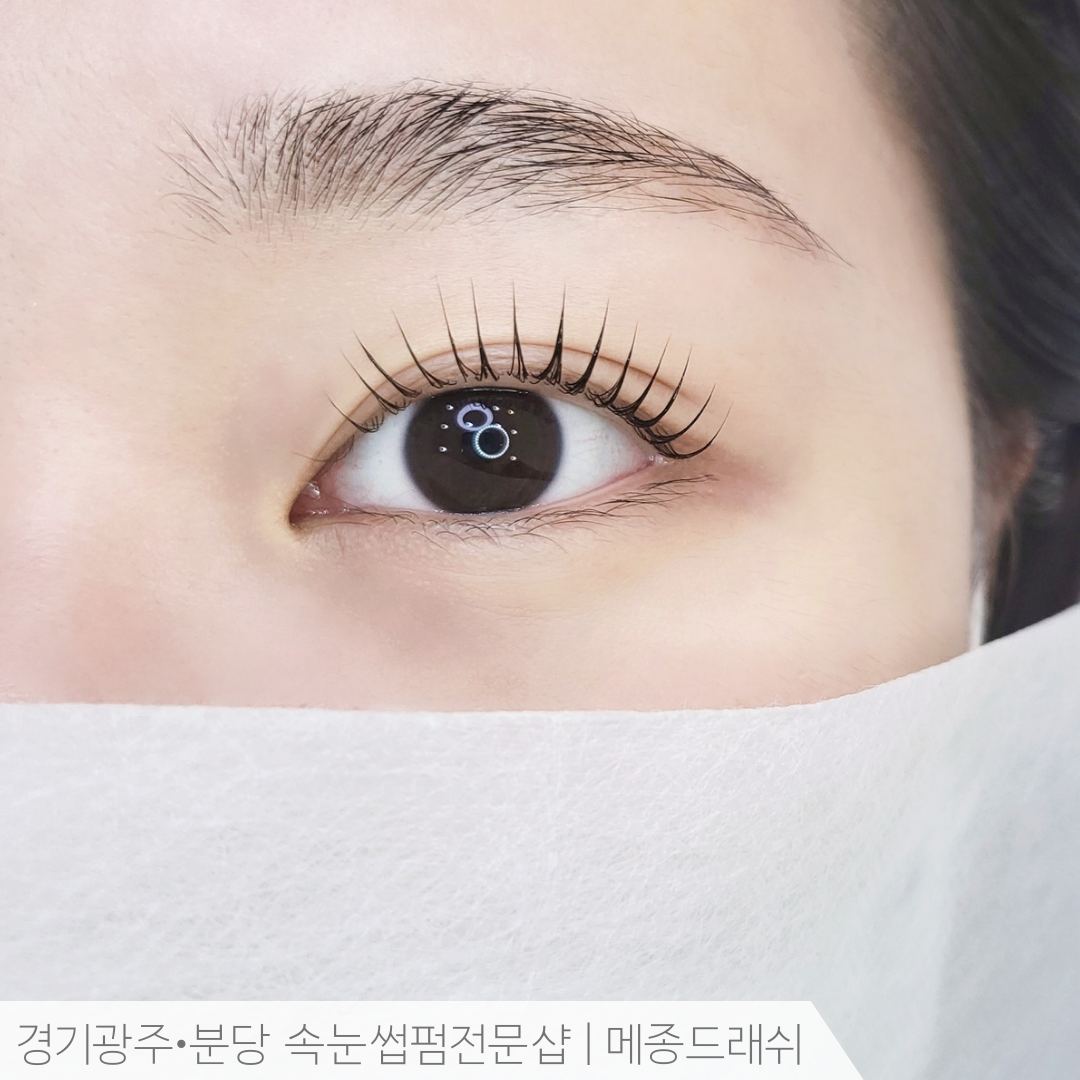 메종드래쉬