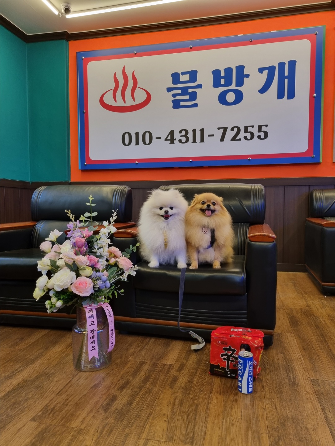 물방개 대표 이미지