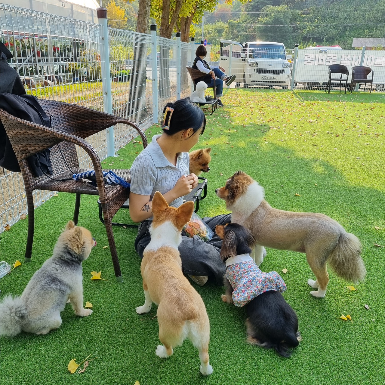 뀨카페&댕치원