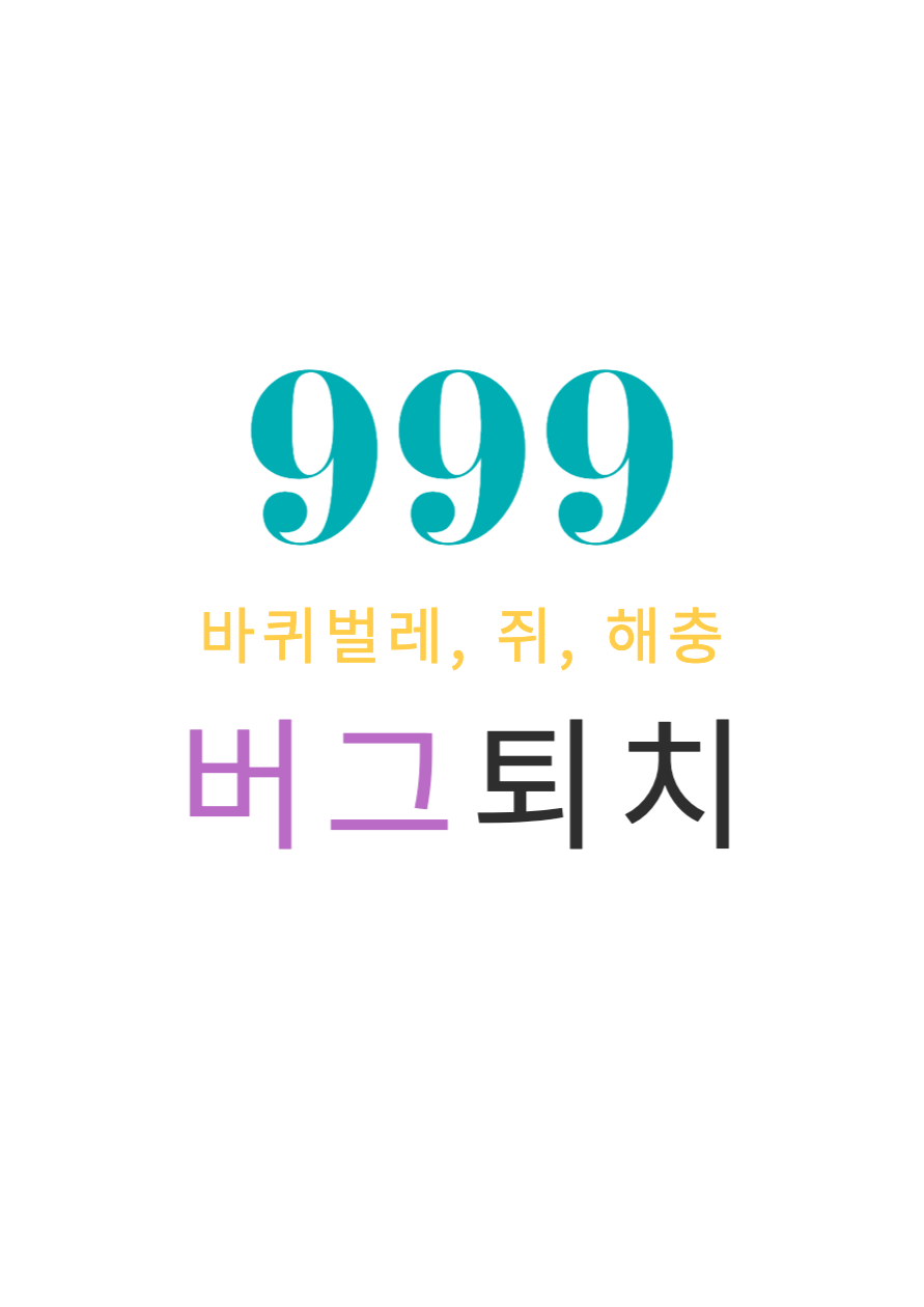 999버그퇴치