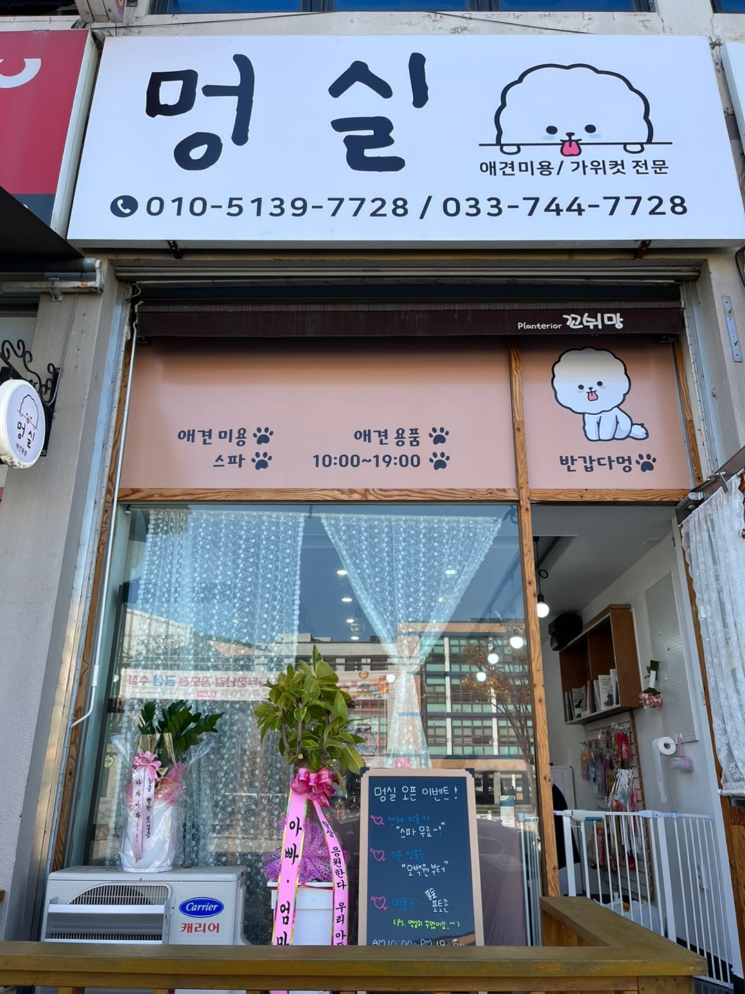 멍실 대표 이미지