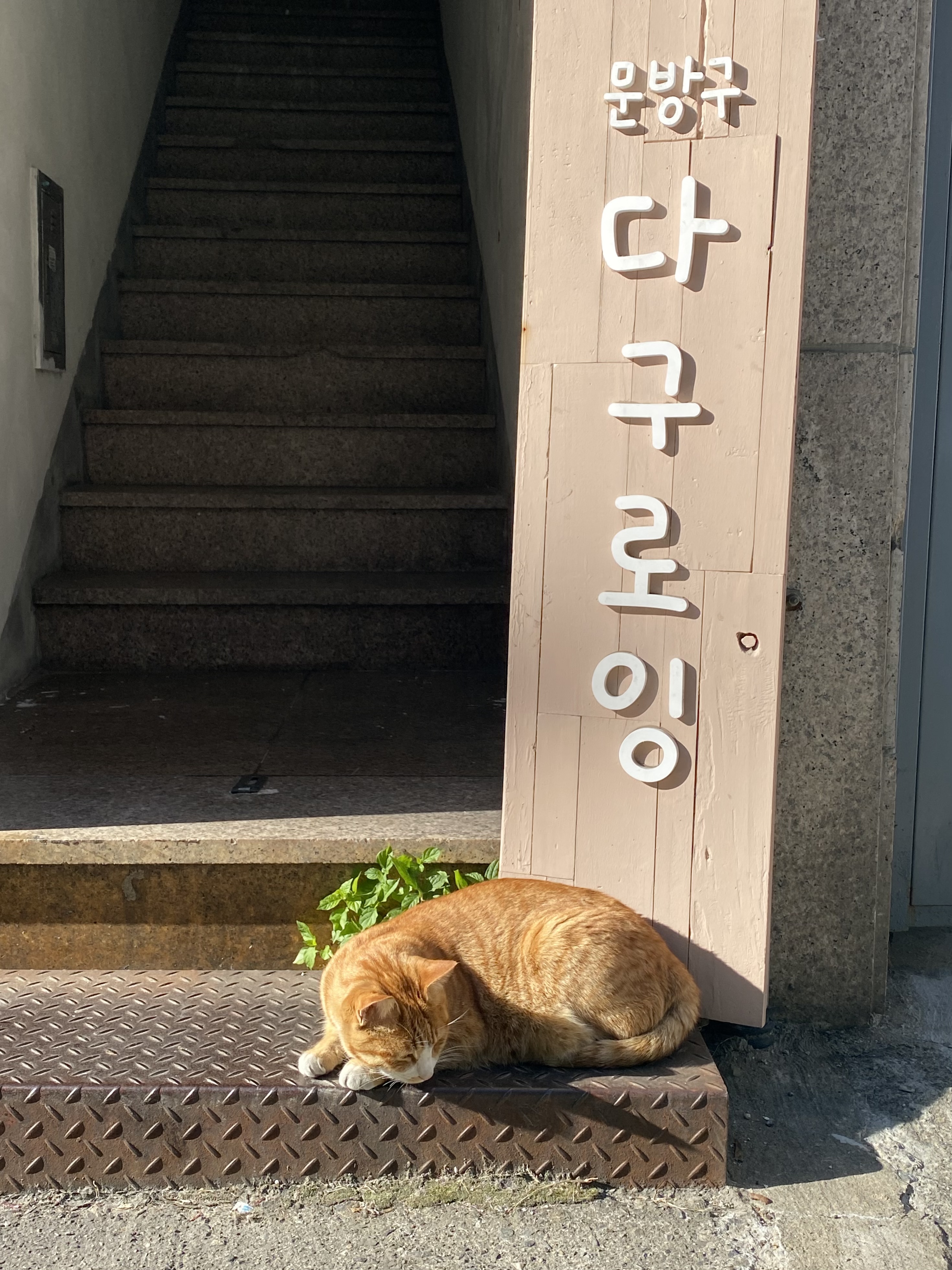 다구로잉